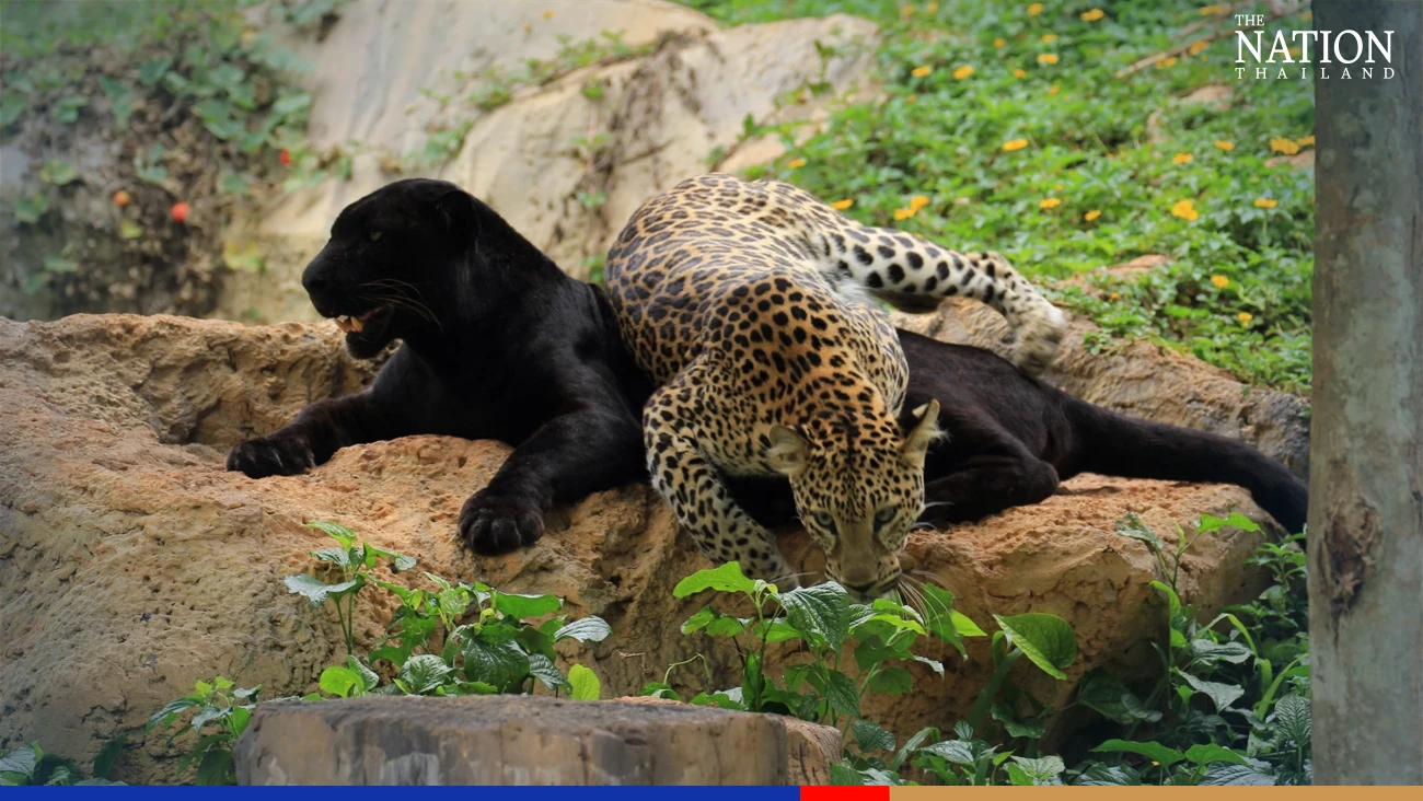 Zoos offer free entrance for kids on Children’s Day