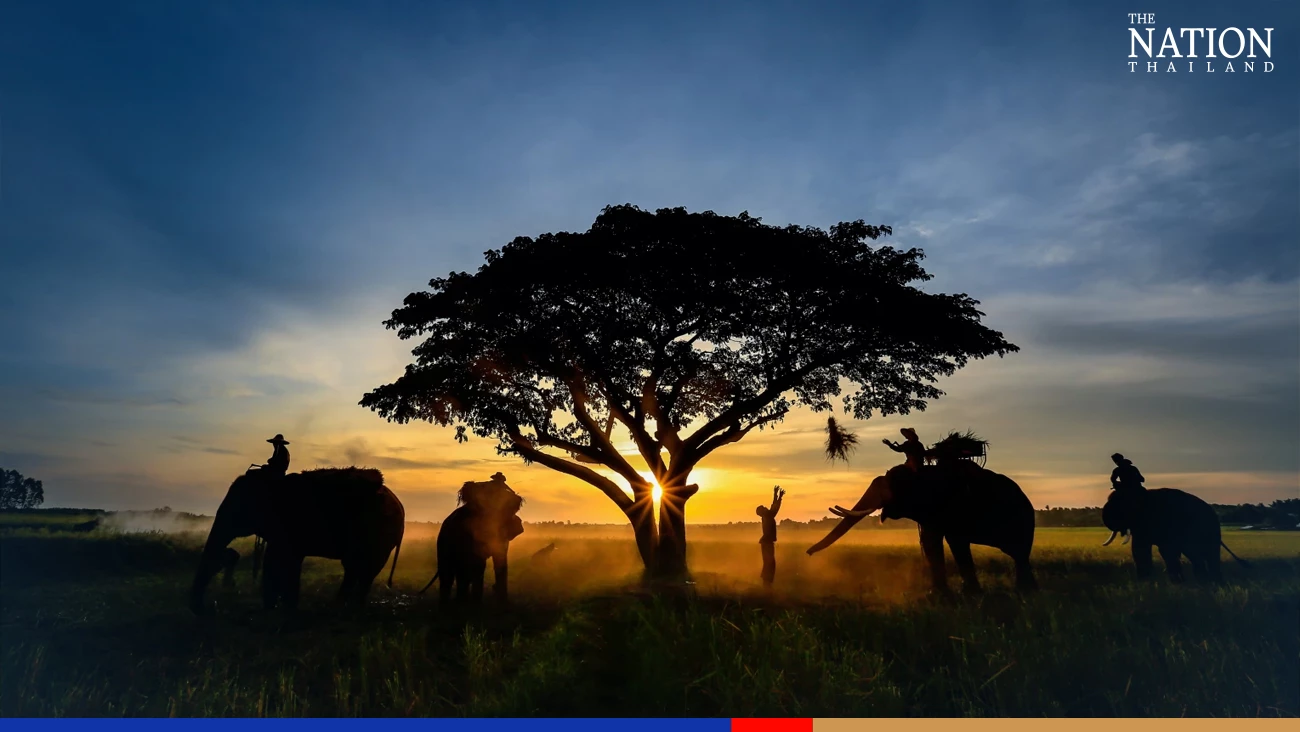 Zoos offer free entrance for kids on Children’s Day