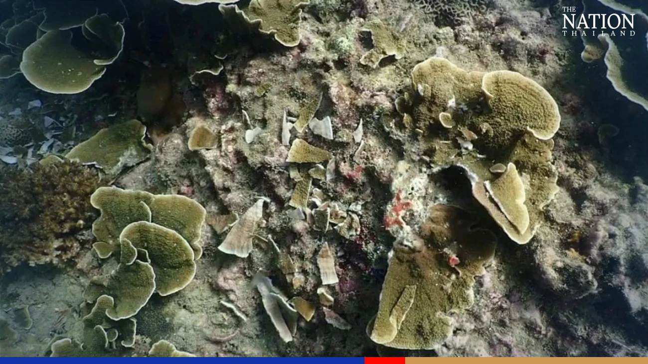 Police search for foreign owner of sailboat over damaged coral reefs