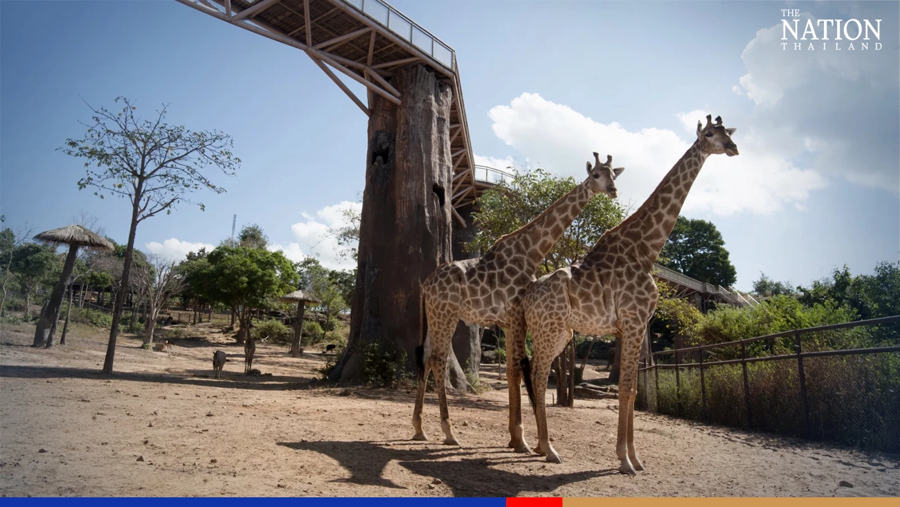 Zoos offer free entrance for kids on Children’s Day