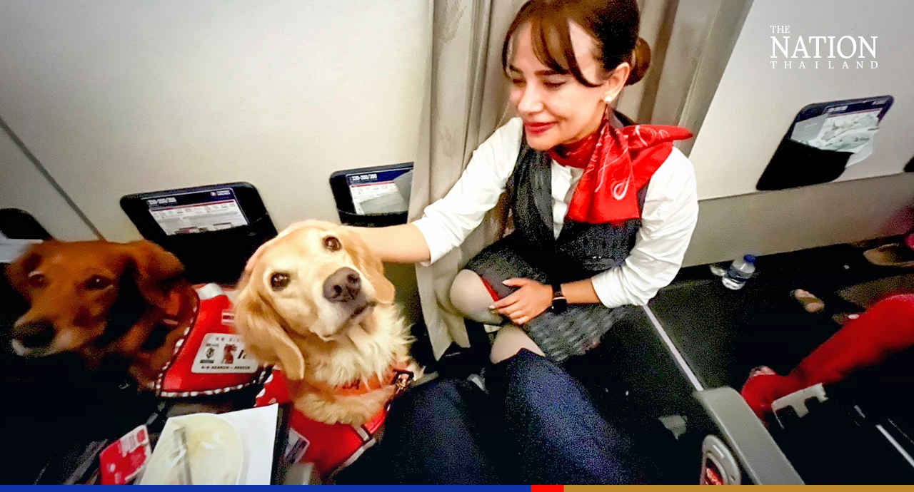 Thai sniffer dogs become stars of earthquake rescue efforts