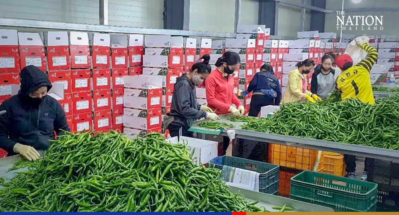 Thai govt cracks down on agents offering false hope