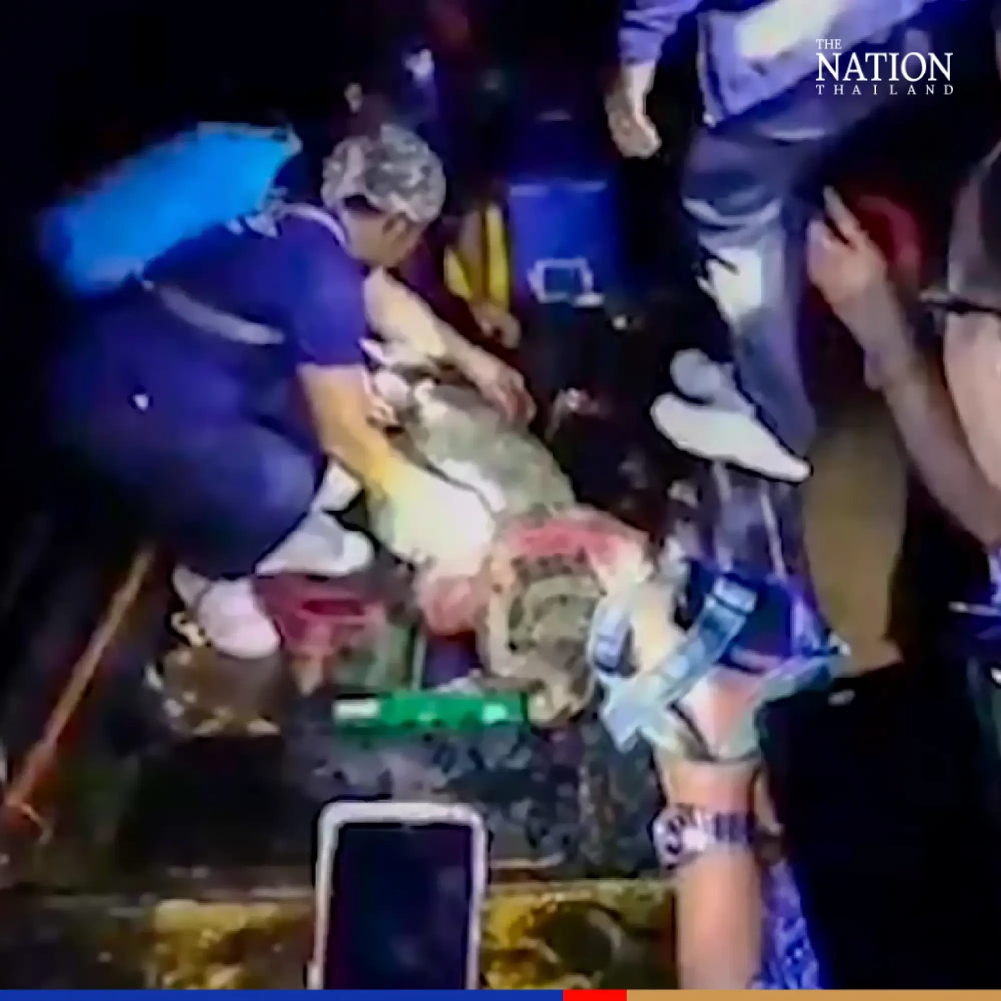 Circus croc harpooned after 5 days of freedom