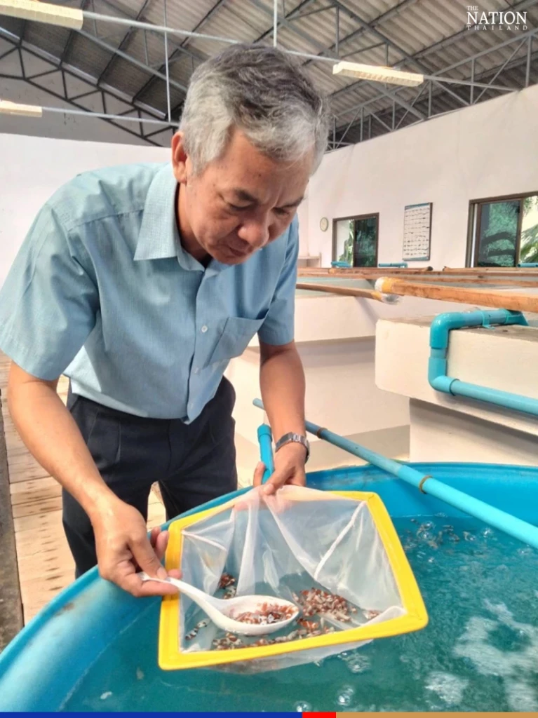 Fisheries department debuts new breed of gender-fluid clownfish