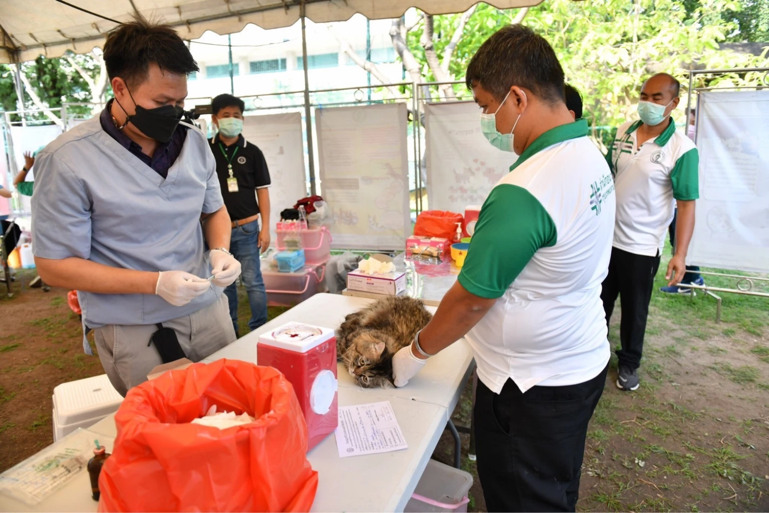BMA launches ‘Healthcare in the Park’ service in Lumpini Park