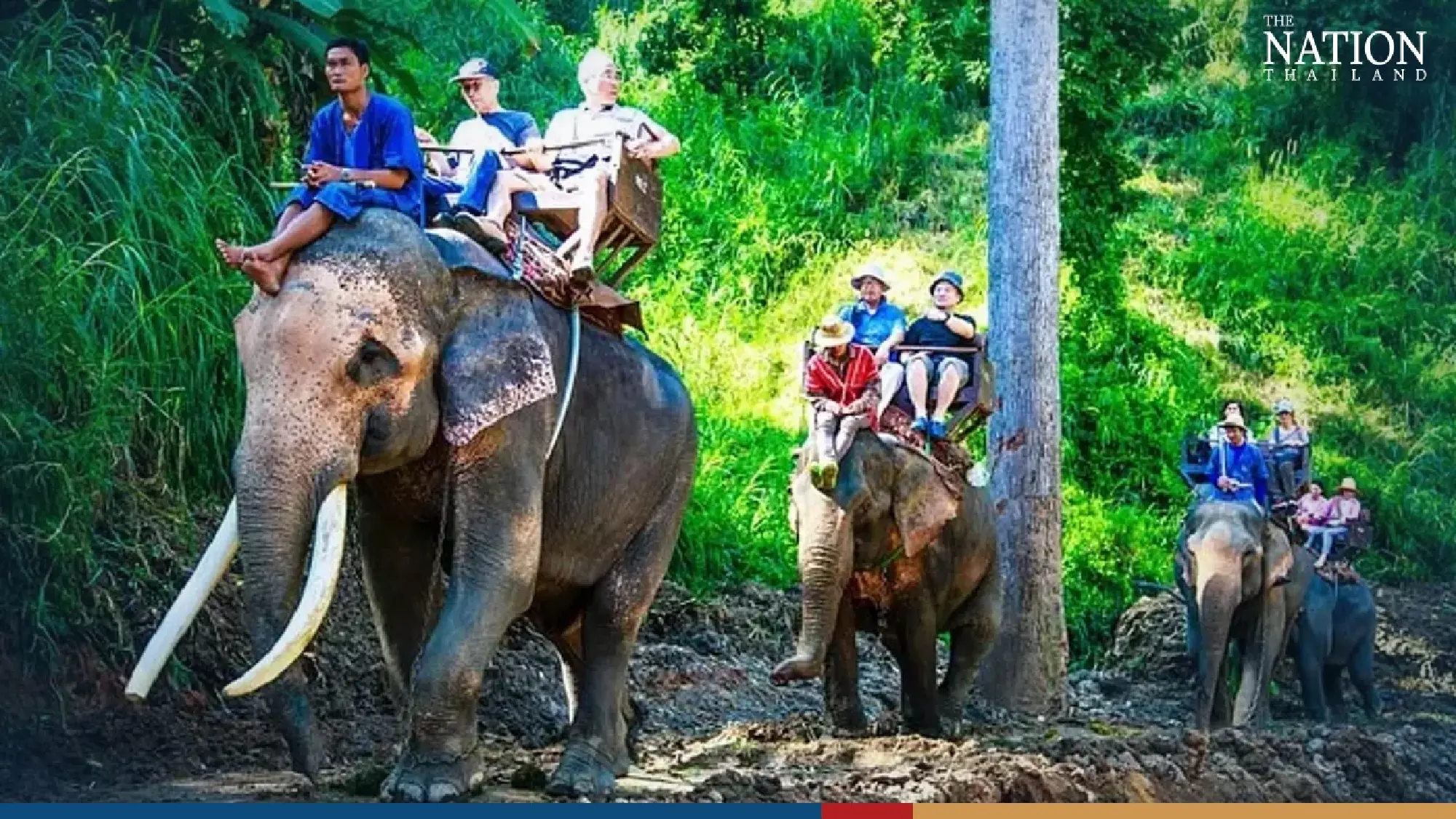 CNN article fuels concerns about elephant welfare in Thailand