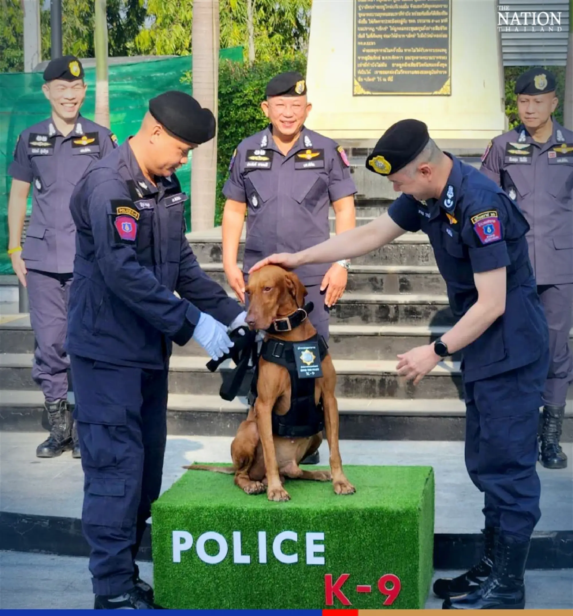 K-9 stars Ira, Cola now ‘police majors’ for solving Nong Chompoo, Ice Metal Casket cases