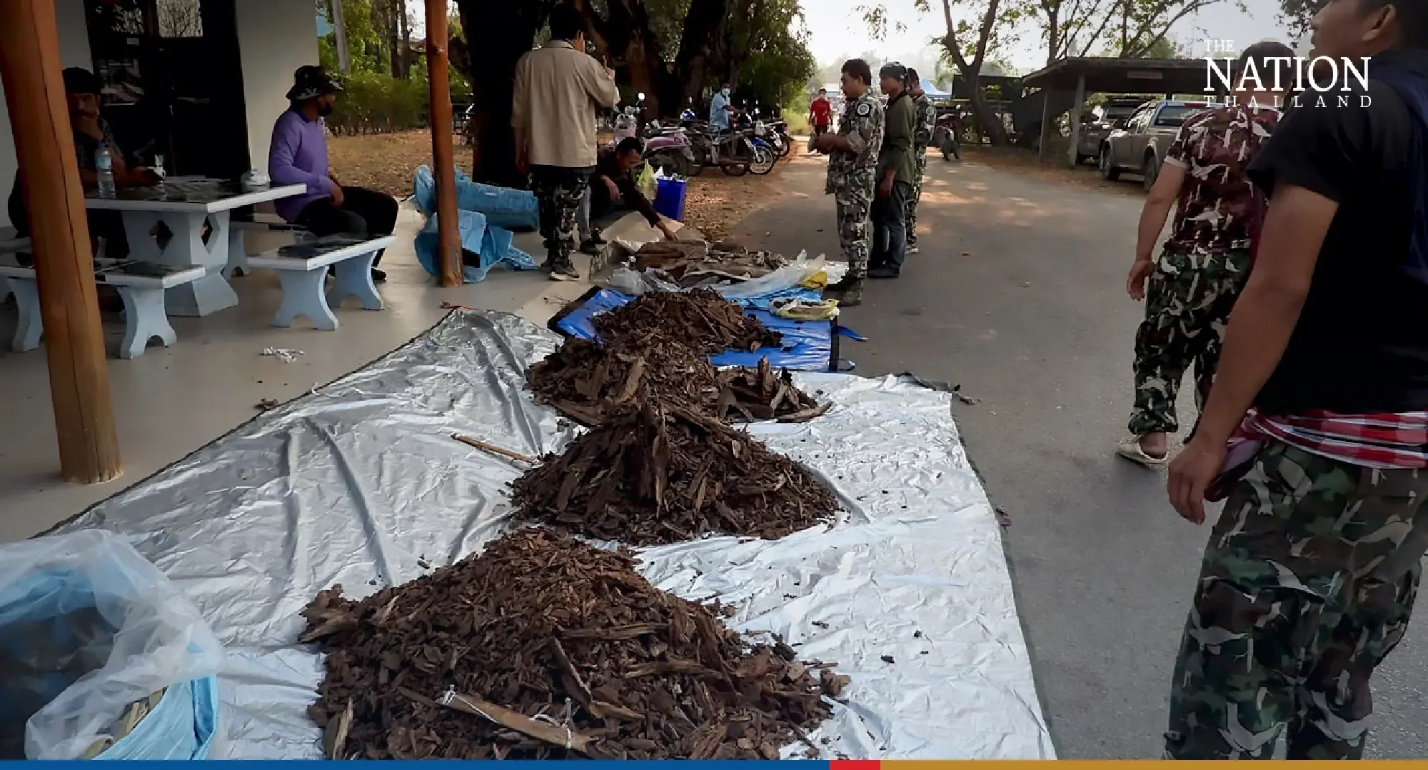 6 Vietnamese arrested over illegal logging of agarwood trees in Chaiyaphum