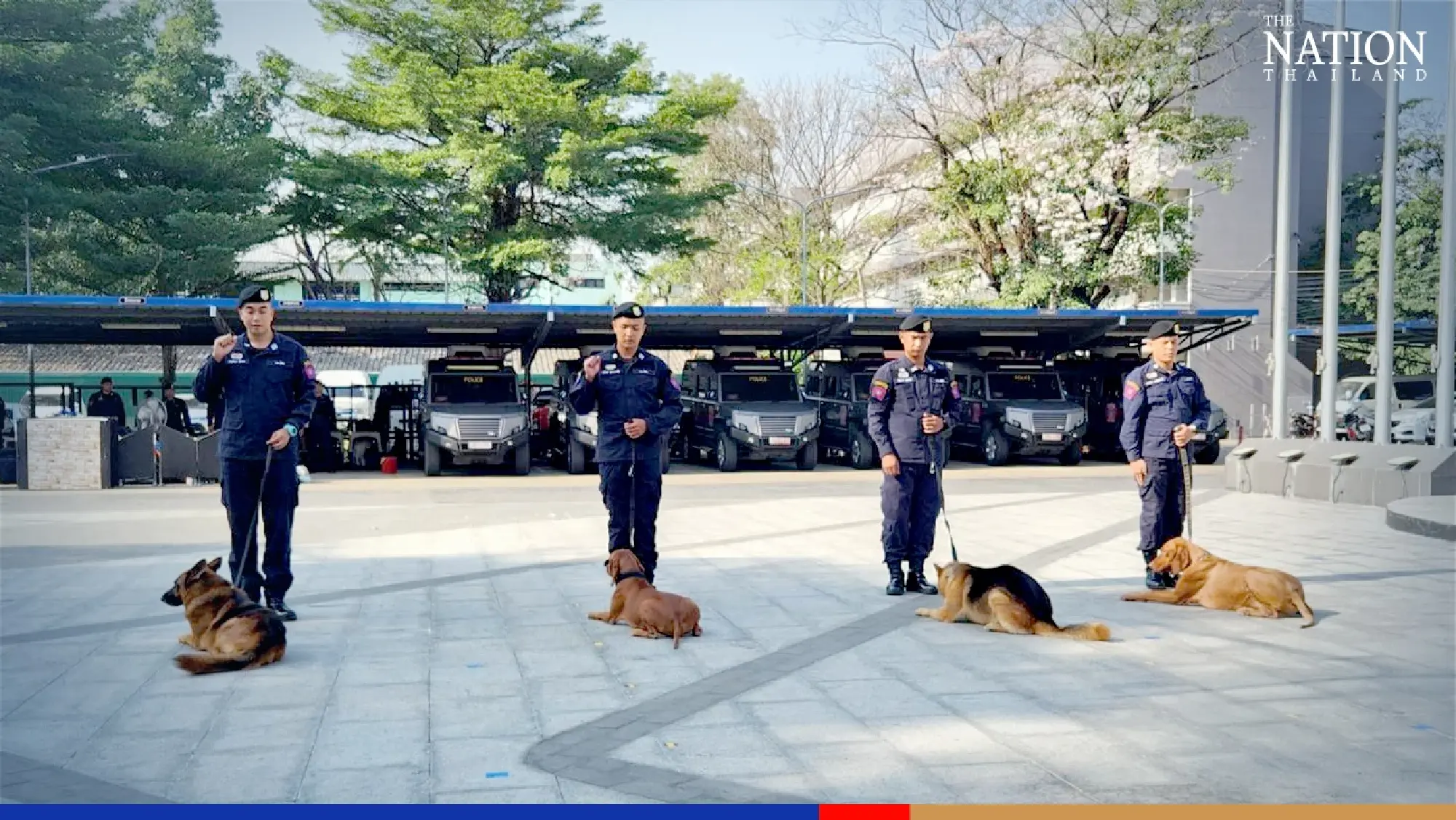 K-9 stars Ira, Cola now ‘police majors’ for solving Nong Chompoo, Ice Metal Casket cases