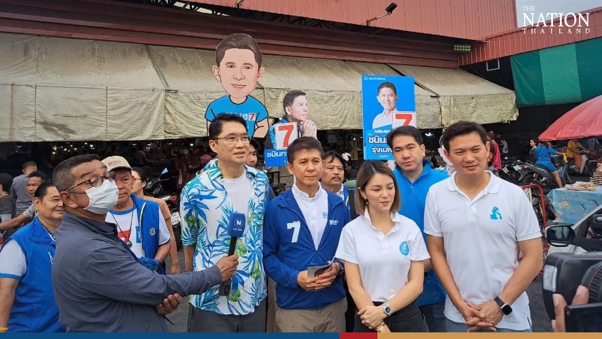 Care of strays among Democrat Party's six pet policies