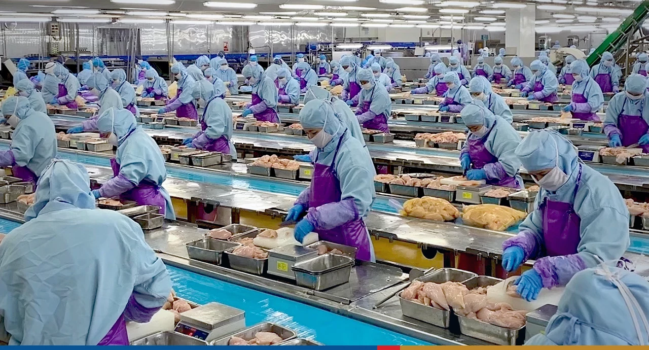 Exports of Thai livestock products to Malaysia are expected to rise