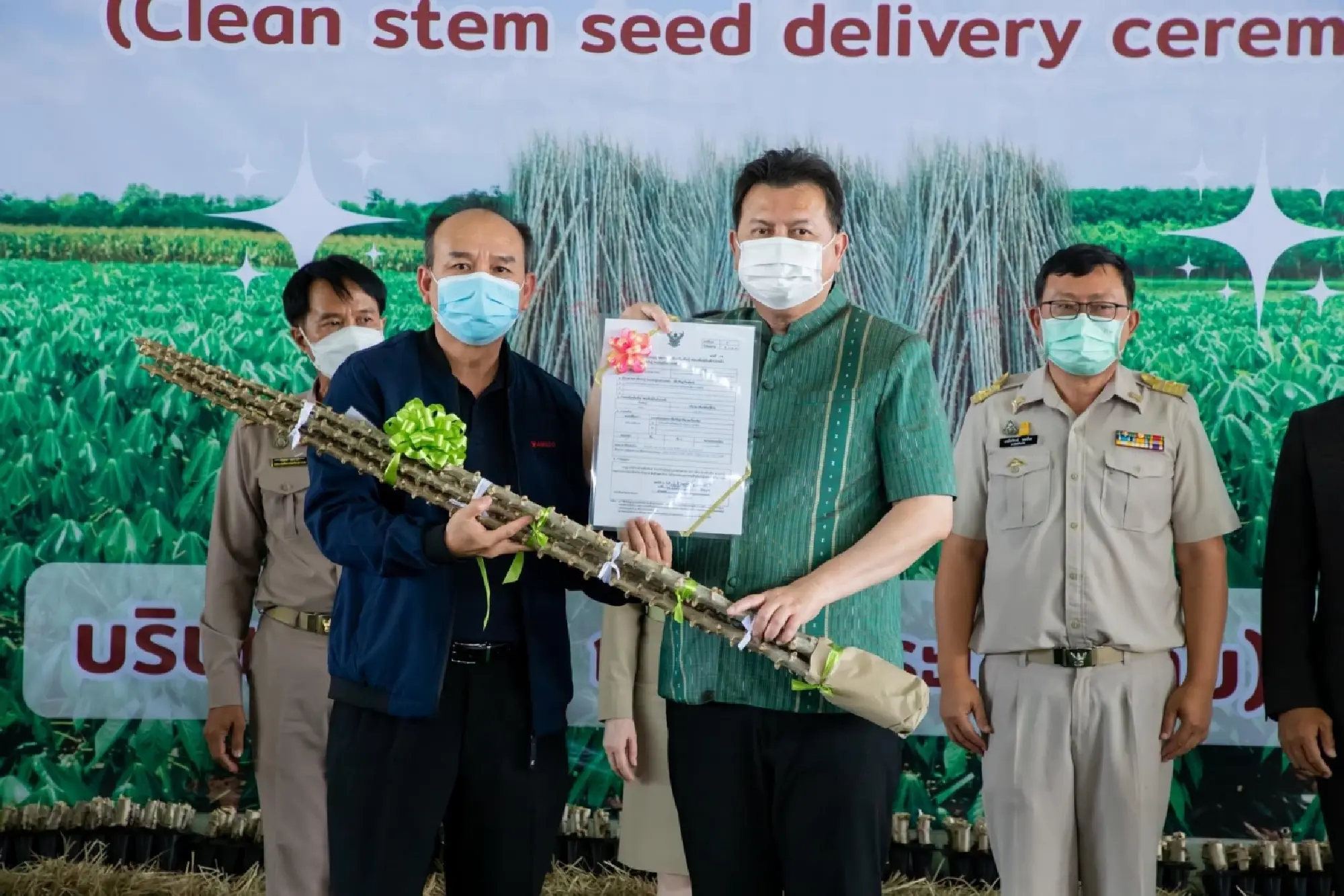 Ajinomoto develops clean and Mosaic Disease-free cassava stems, aiming to promote  the sustainable productivity of Thai farmers