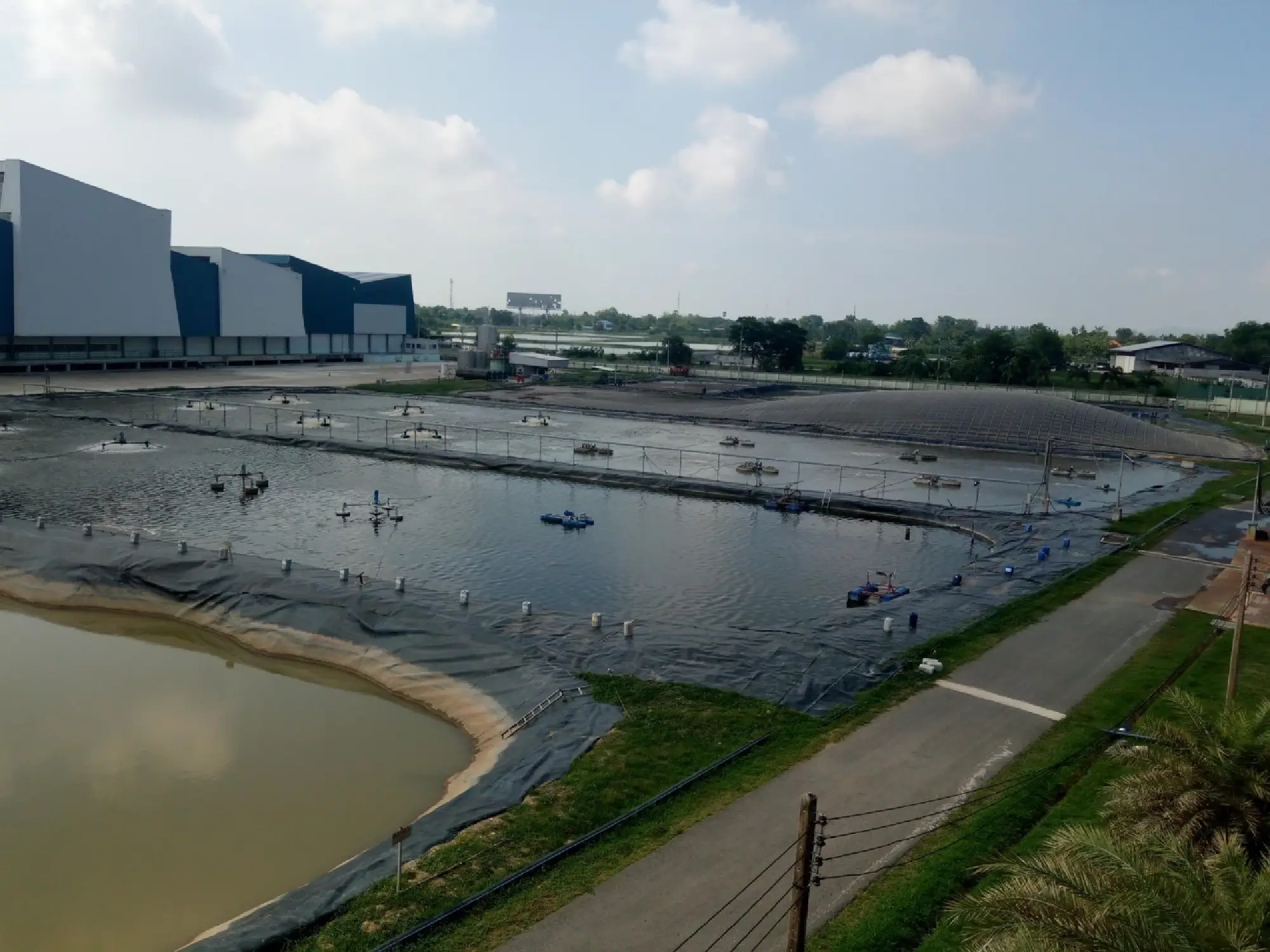 Tetra Pak aims to reduce loss in food production in Thailand and around the world