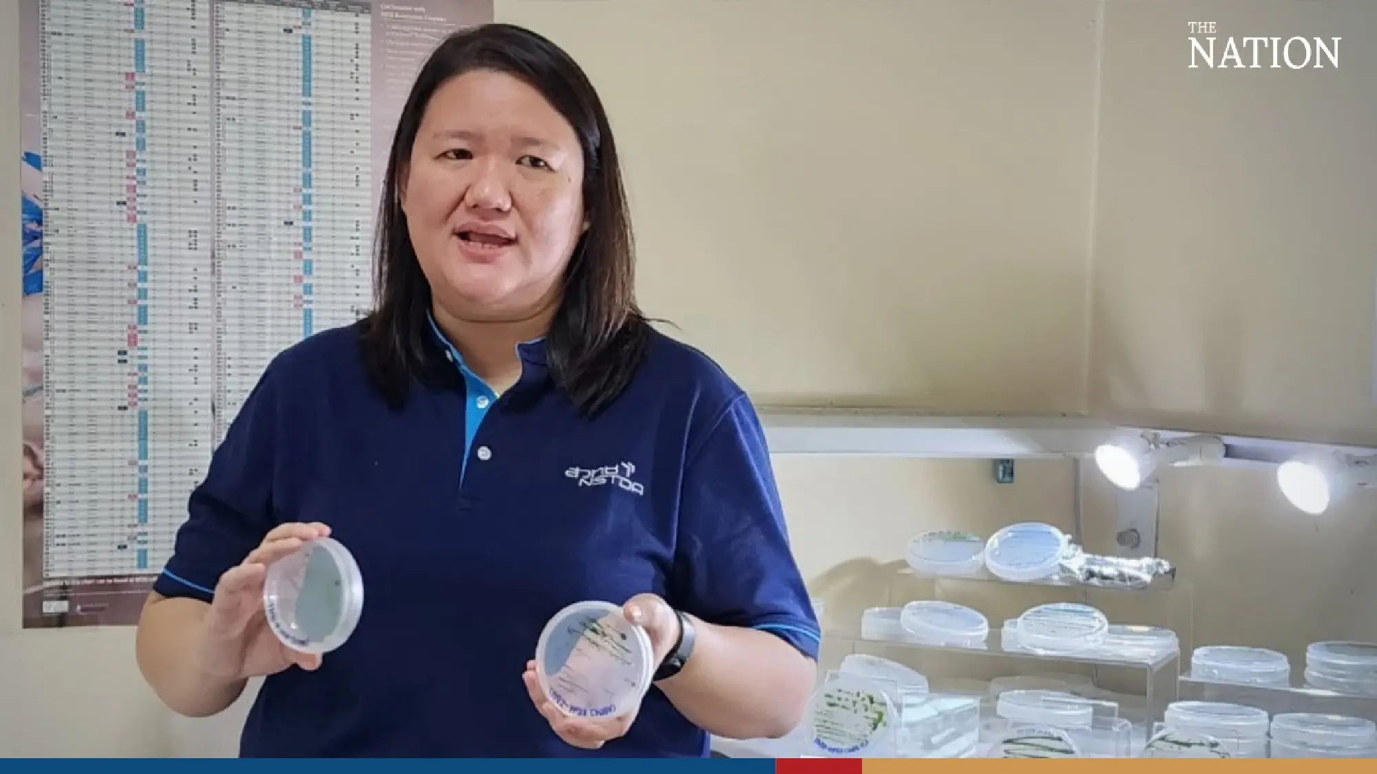 “AquaJade”, an innovative applications of Green Microalgae to combat diseases