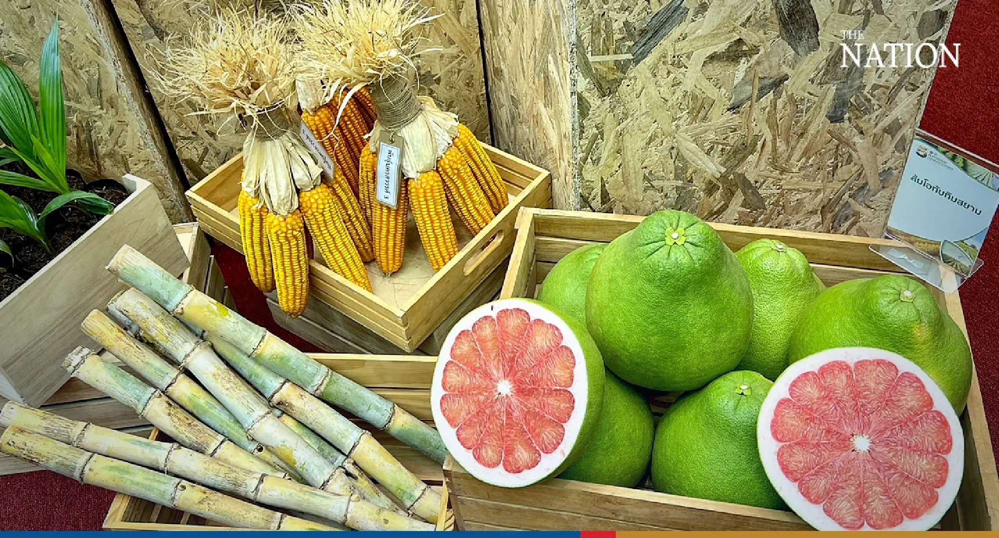 Exhibitions, seminars celebrate DOA’s 50th anniversary