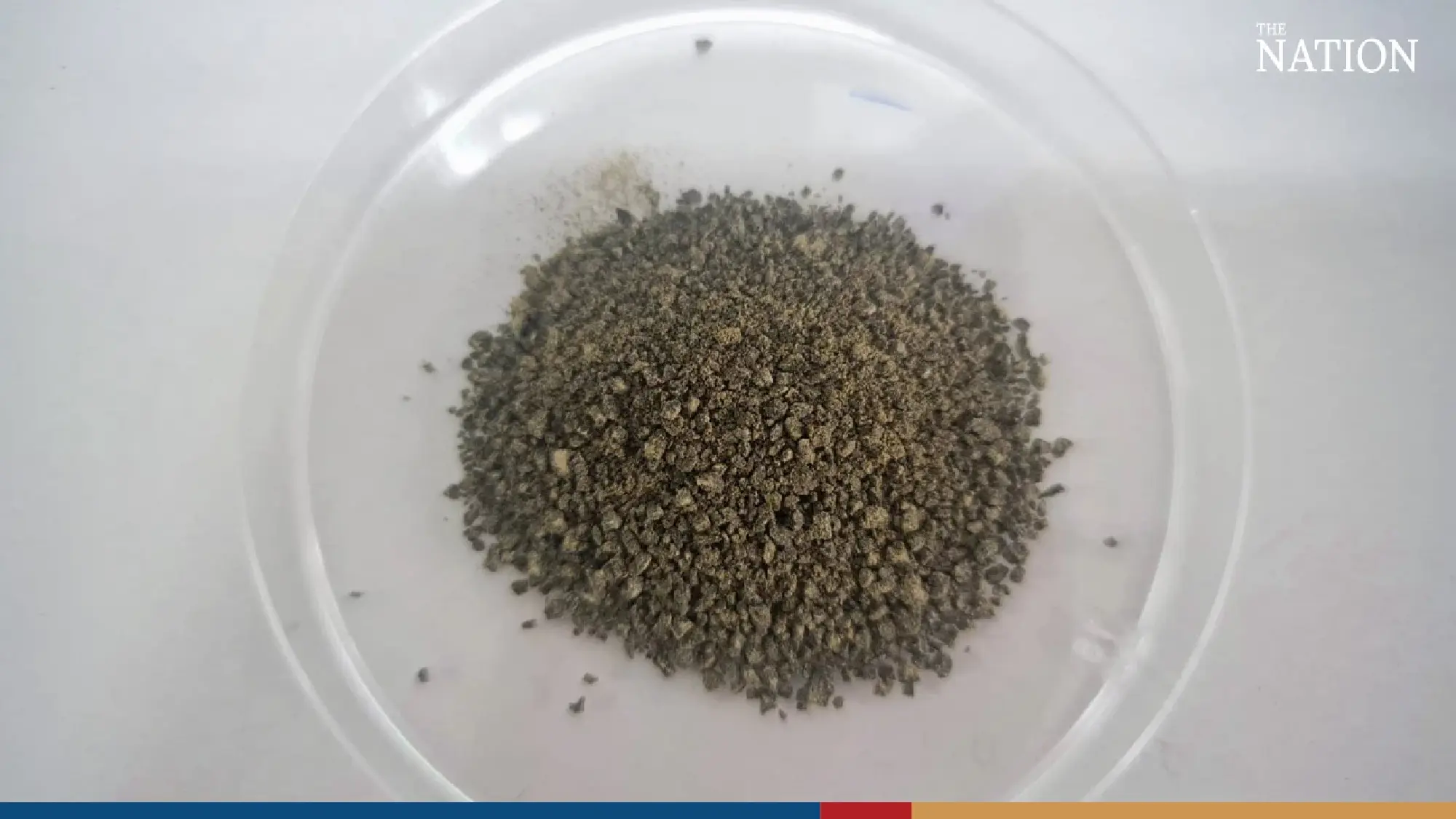 “AquaJade”, an innovative applications of Green Microalgae to combat diseases