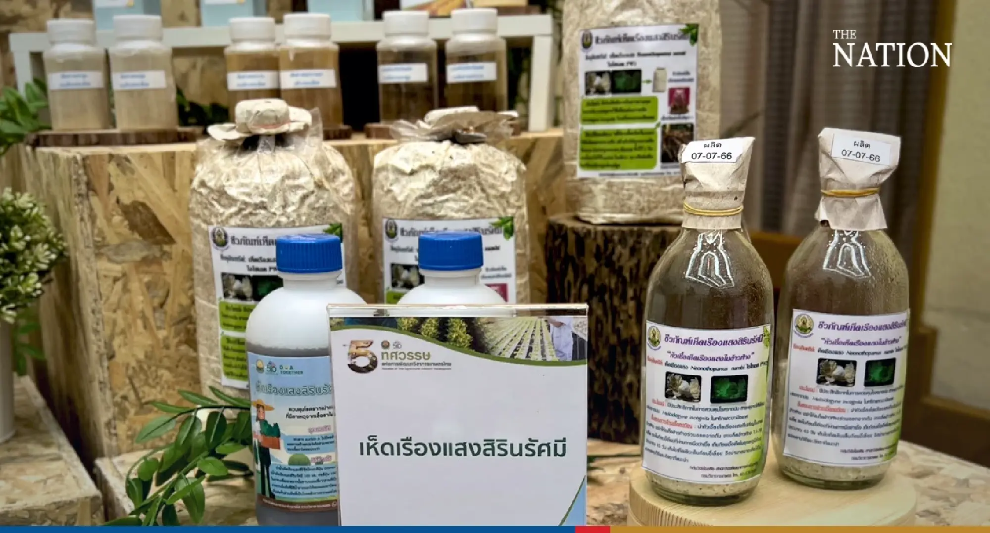 Exhibitions, seminars celebrate DOA’s 50th anniversary