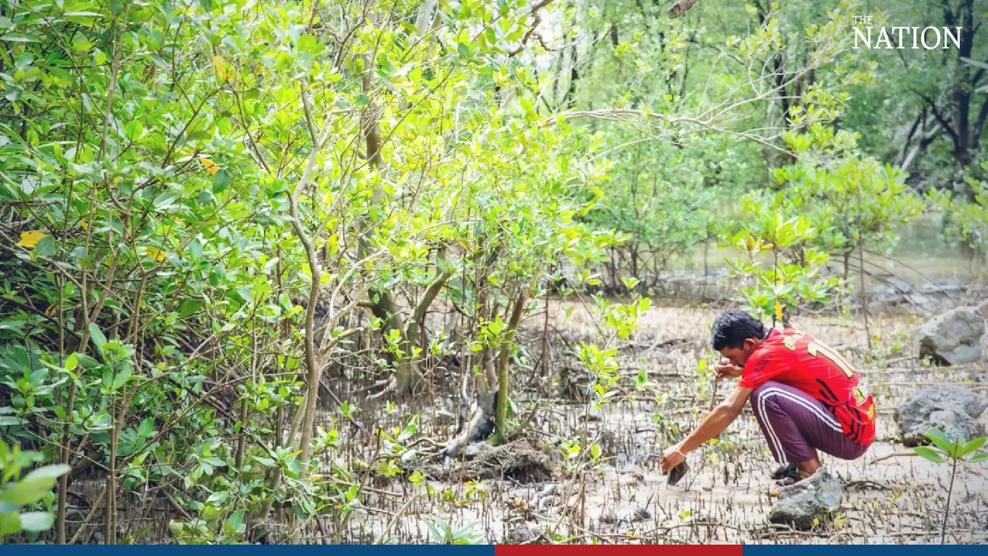 In Lompeun and loving it