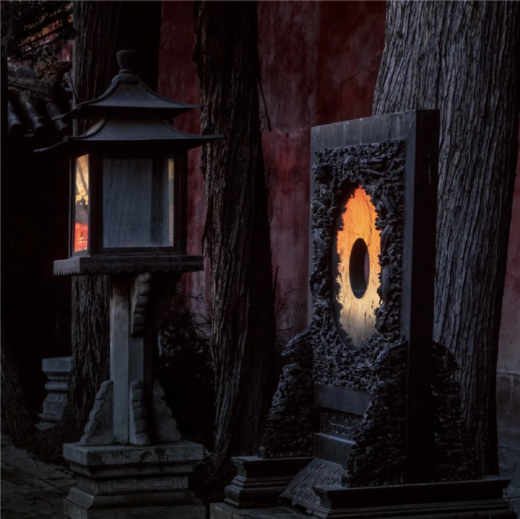 Photographer captures mystic Forbidden City
