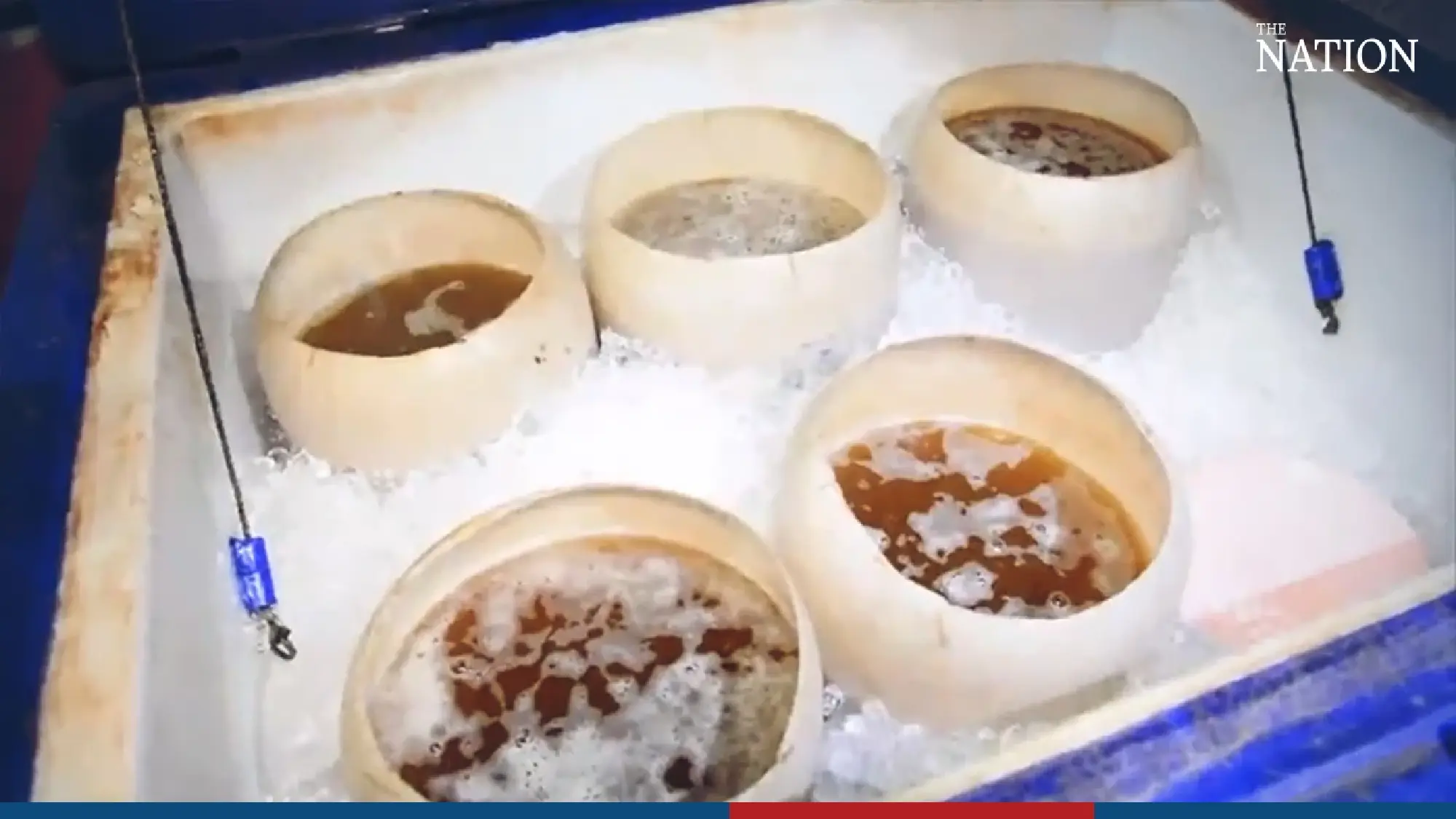 Authorities crack down on unlicensed marijuana shop in Chiang Rai