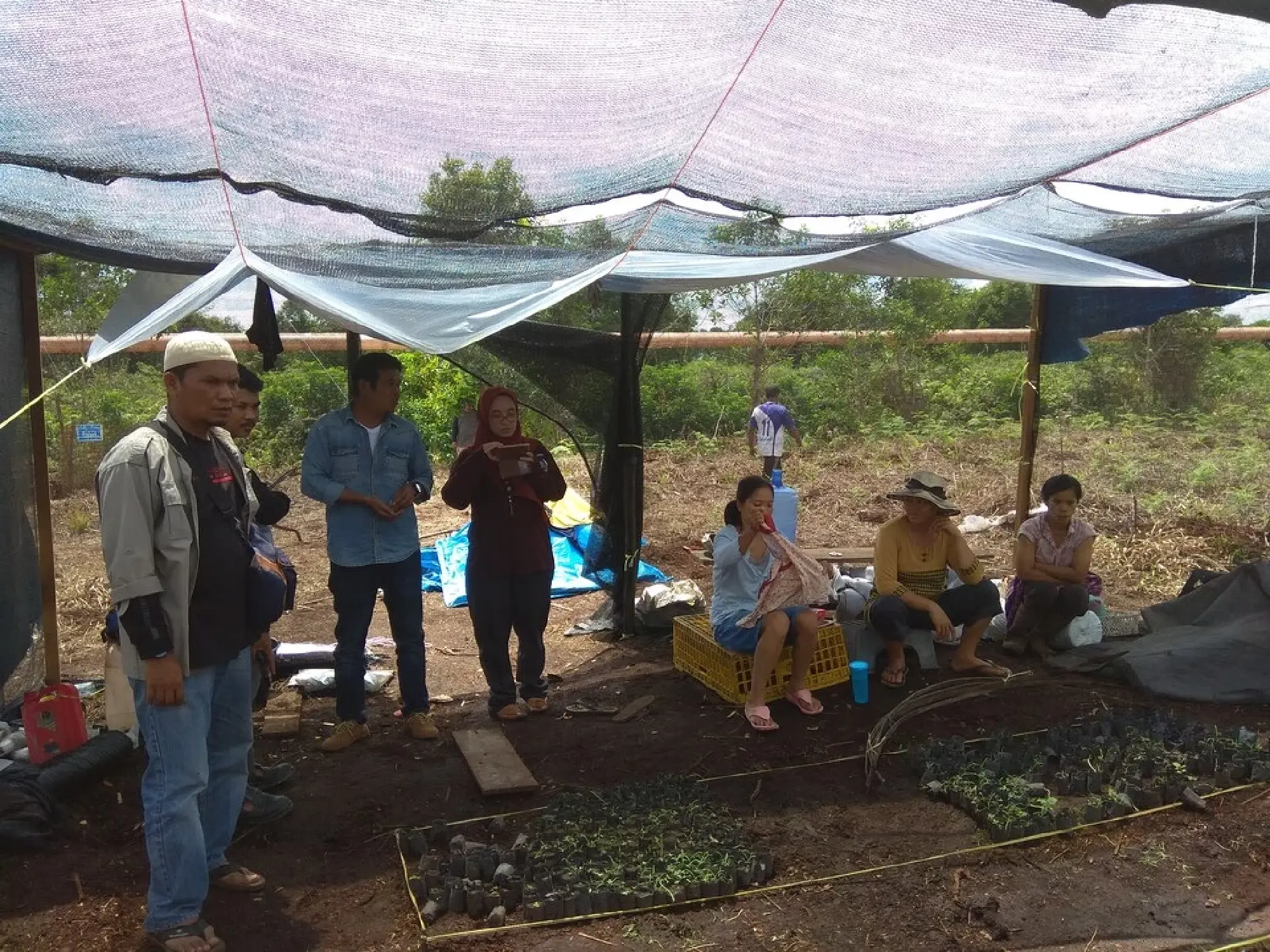 Resilient farmers: Peatlands paving sustainable agriculture