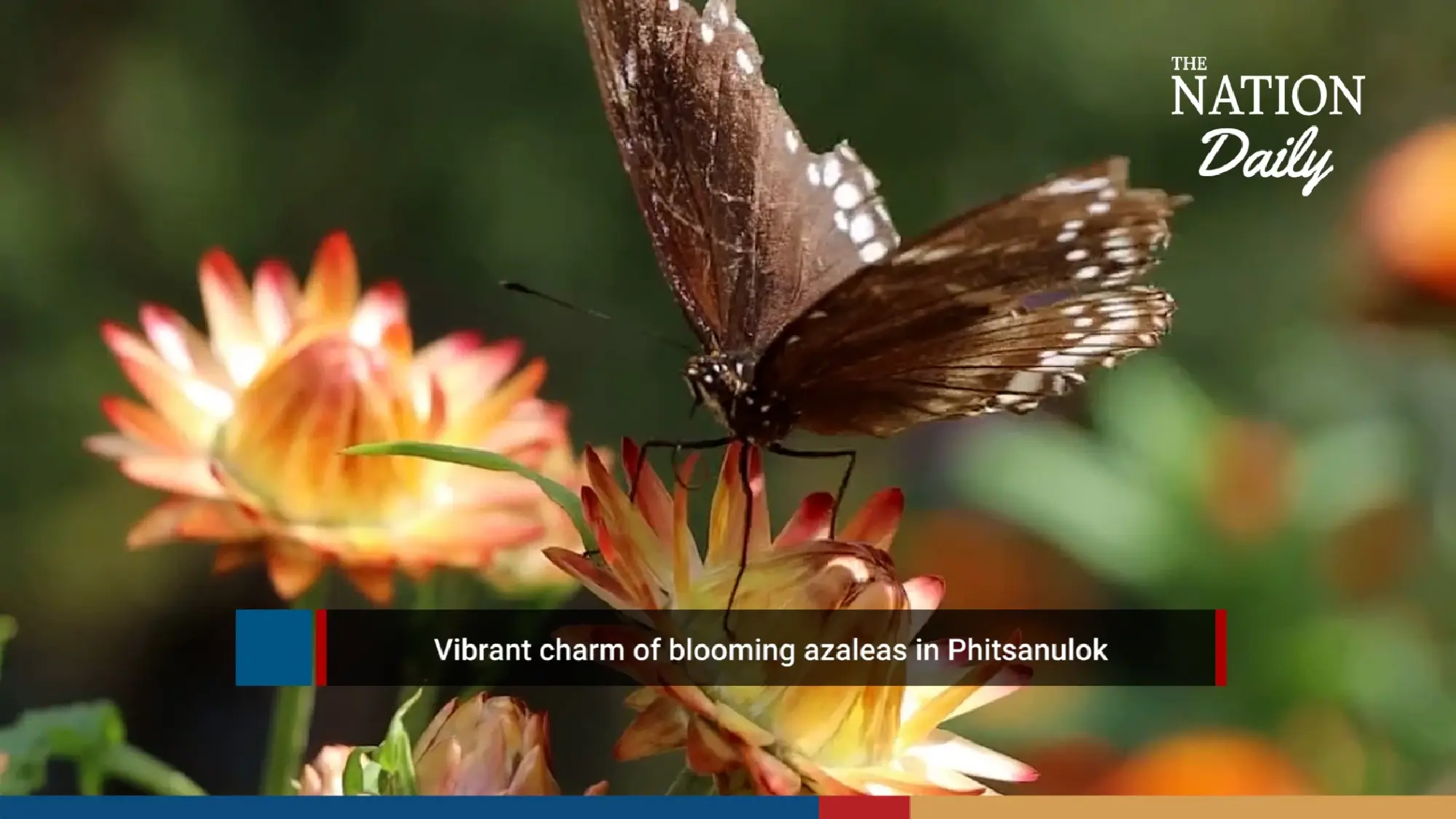 The Nation Daily: 12 December 2023 | The Nation