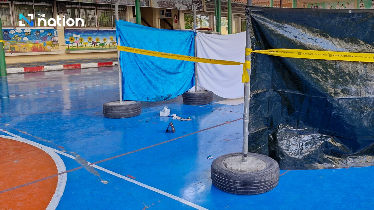 Special needs' boy allegedly stabs classmate to death over so-called bullying