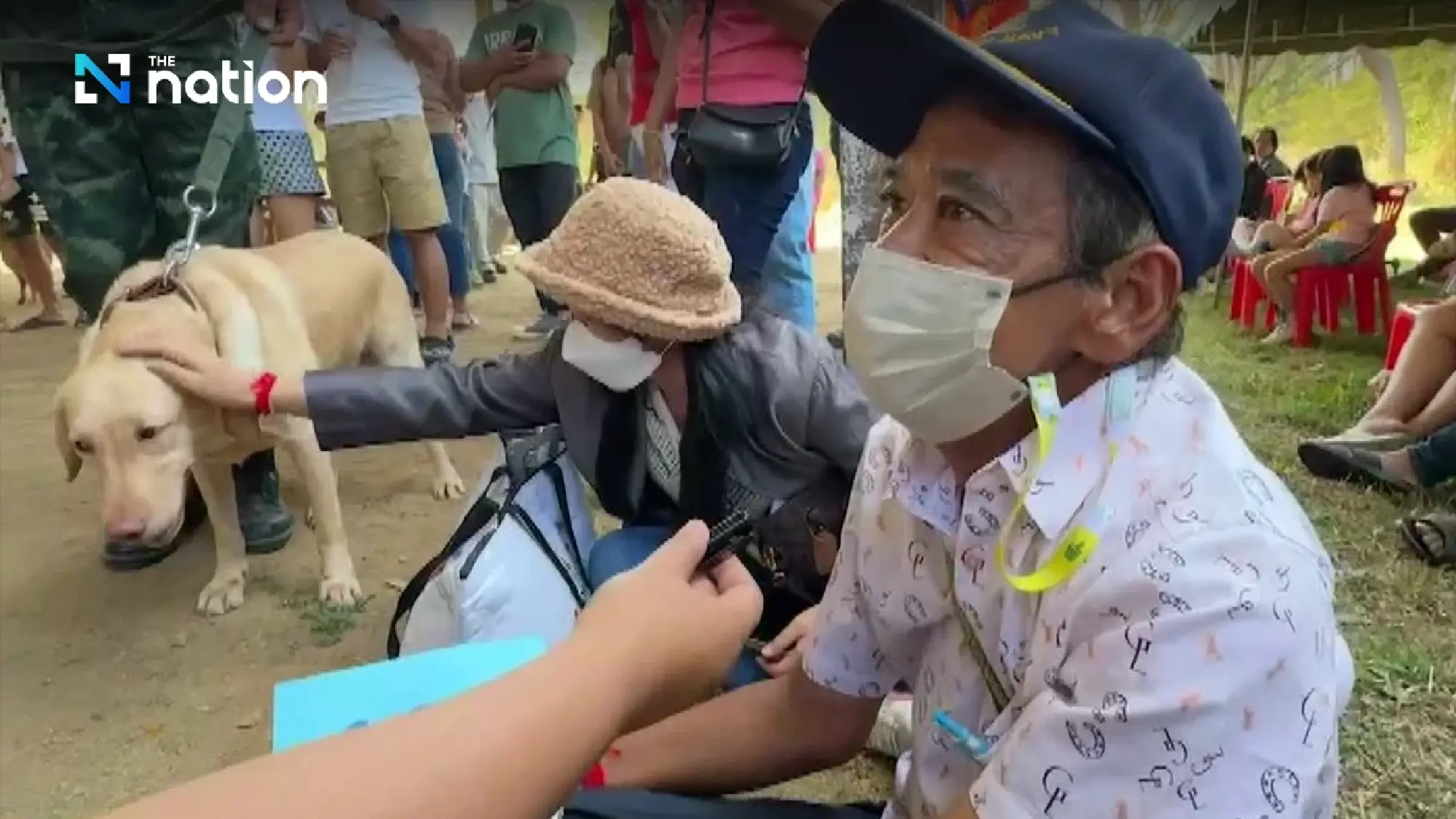 Labrador found not suitable for military bought at auction for THB95,000