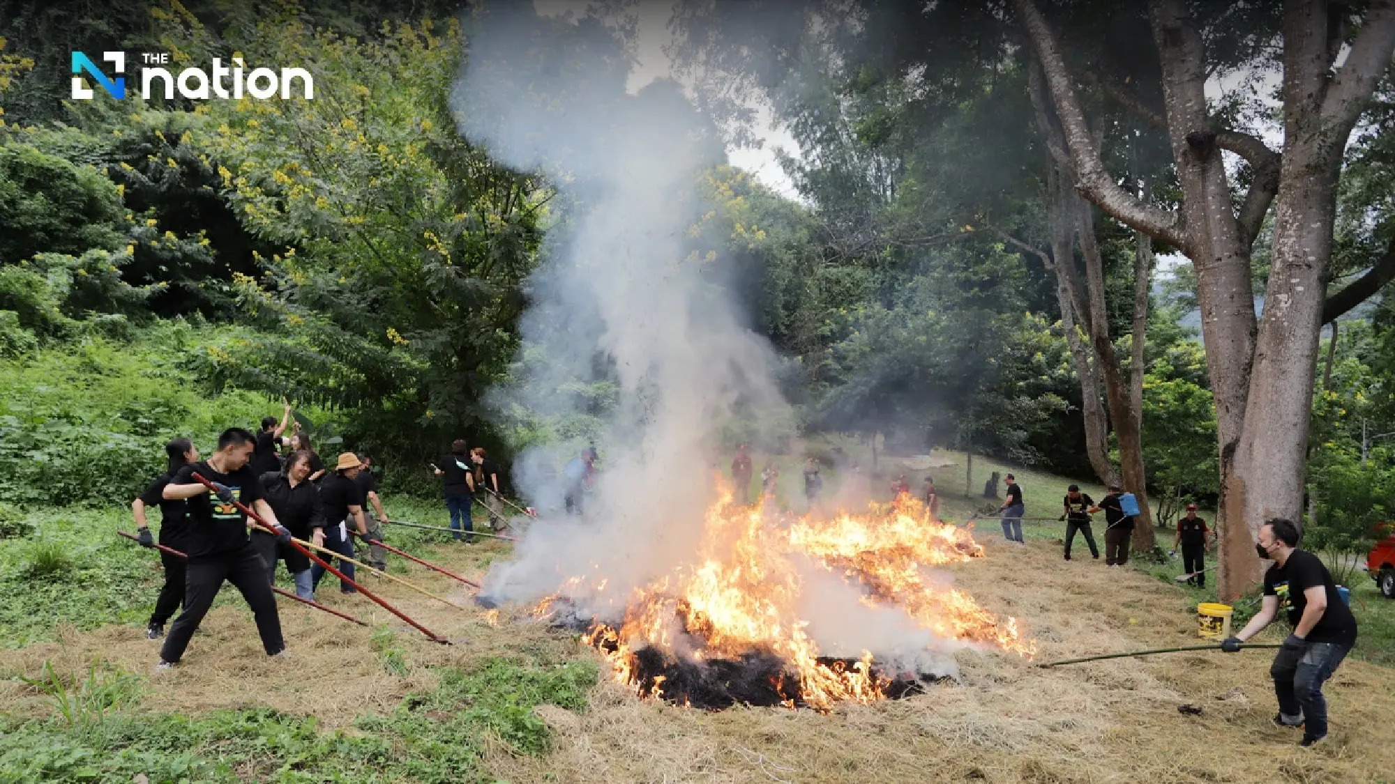 33 x Trees – an Epson Thailand initiative to protect and rehabilitate forests