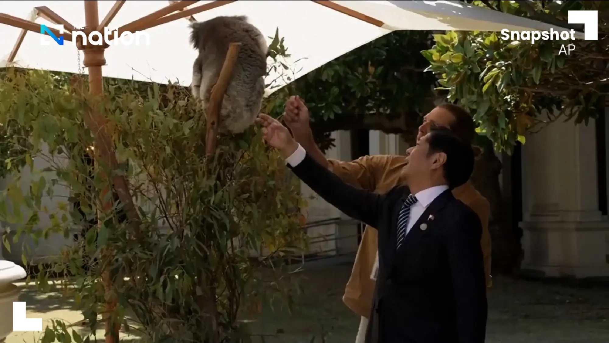 ASEAN leaders pat and feed koala at ASEAN Australia Summit | The Nation