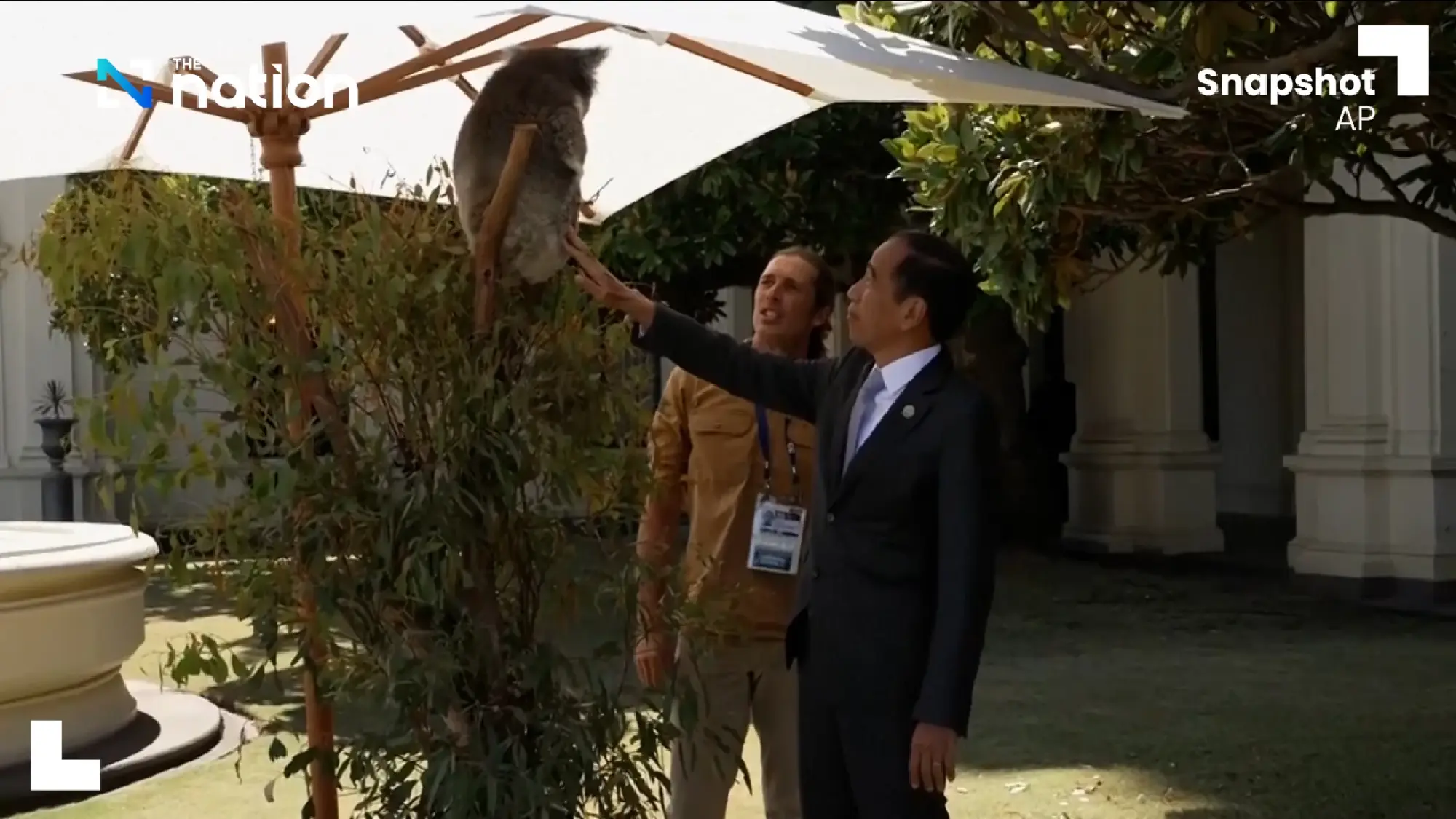 ASEAN leaders pat and feed koala at ASEAN Australia Summit | The Nation