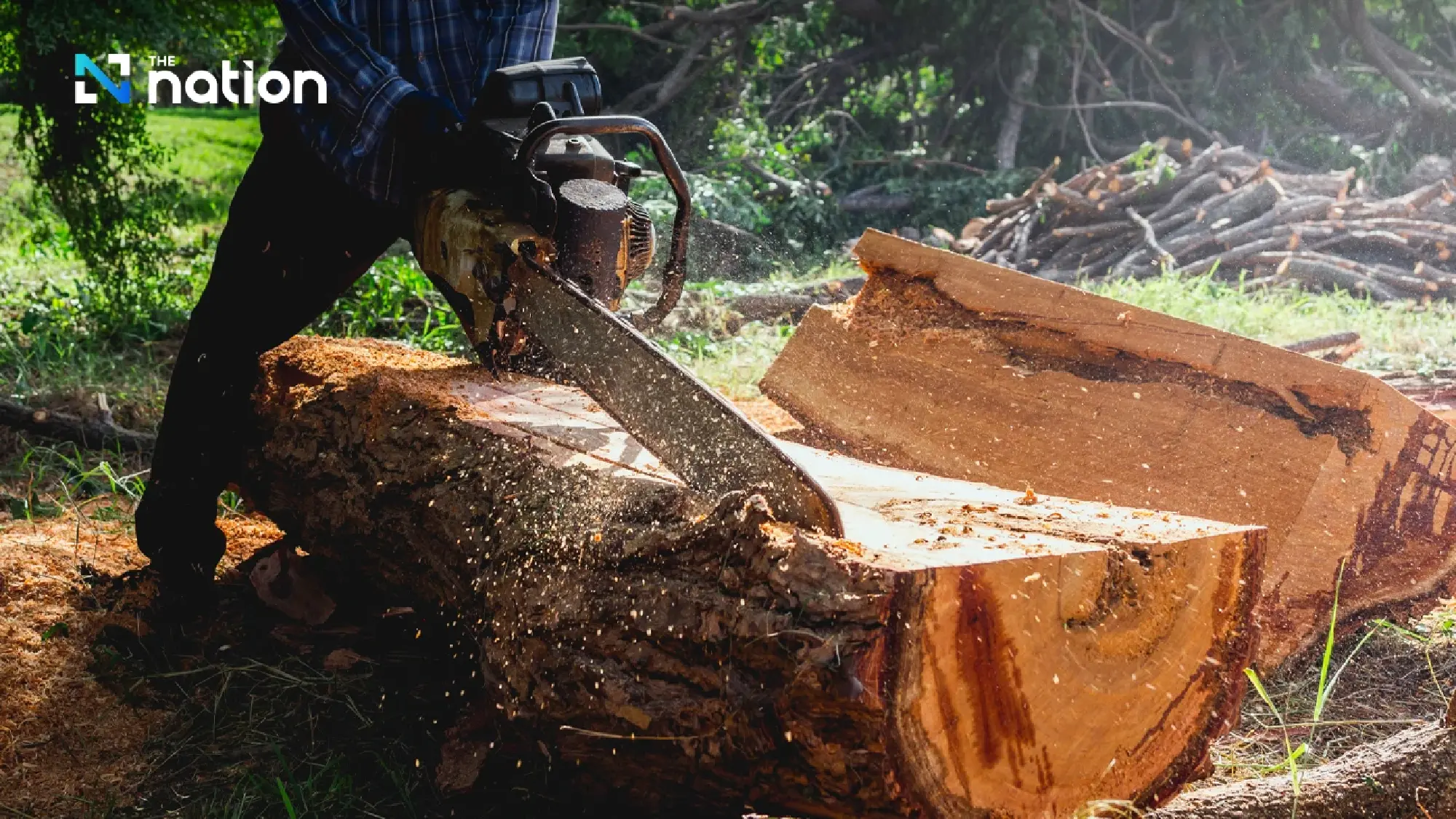 NACC proposes abrogation of all Sor Kor 1 primary land-holding documents