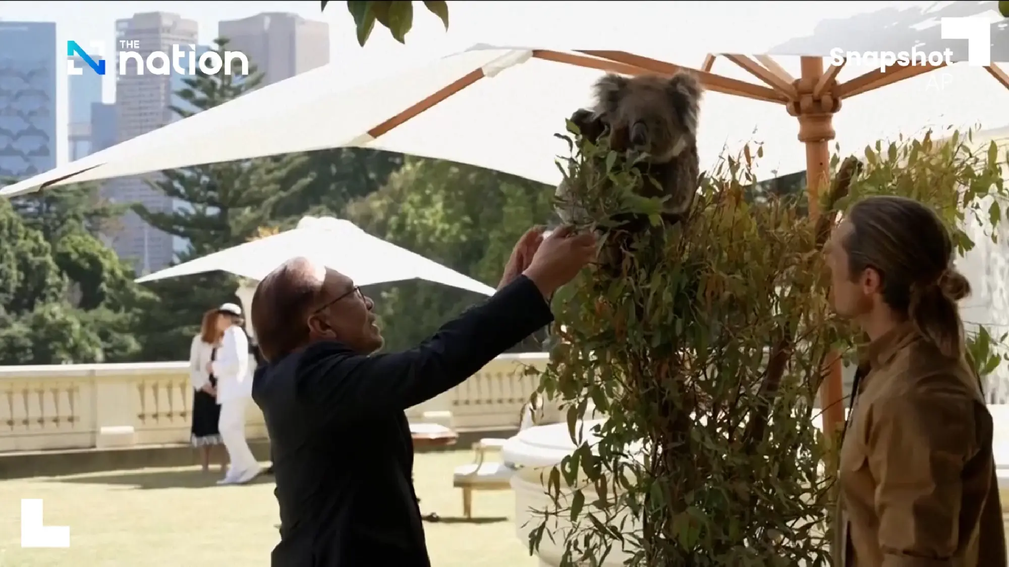 ASEAN leaders pat and feed koala at ASEAN Australia Summit | The Nation