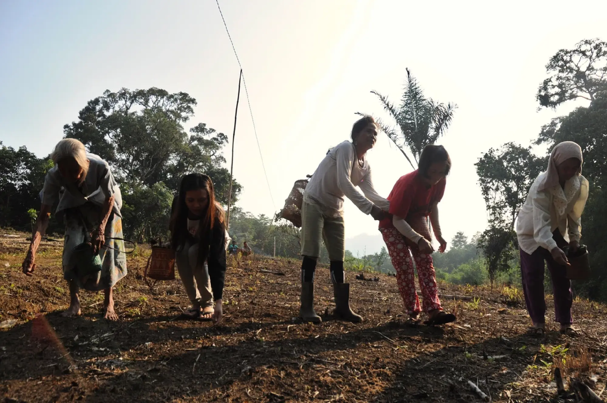 Battling forest fires on International Day of Forests