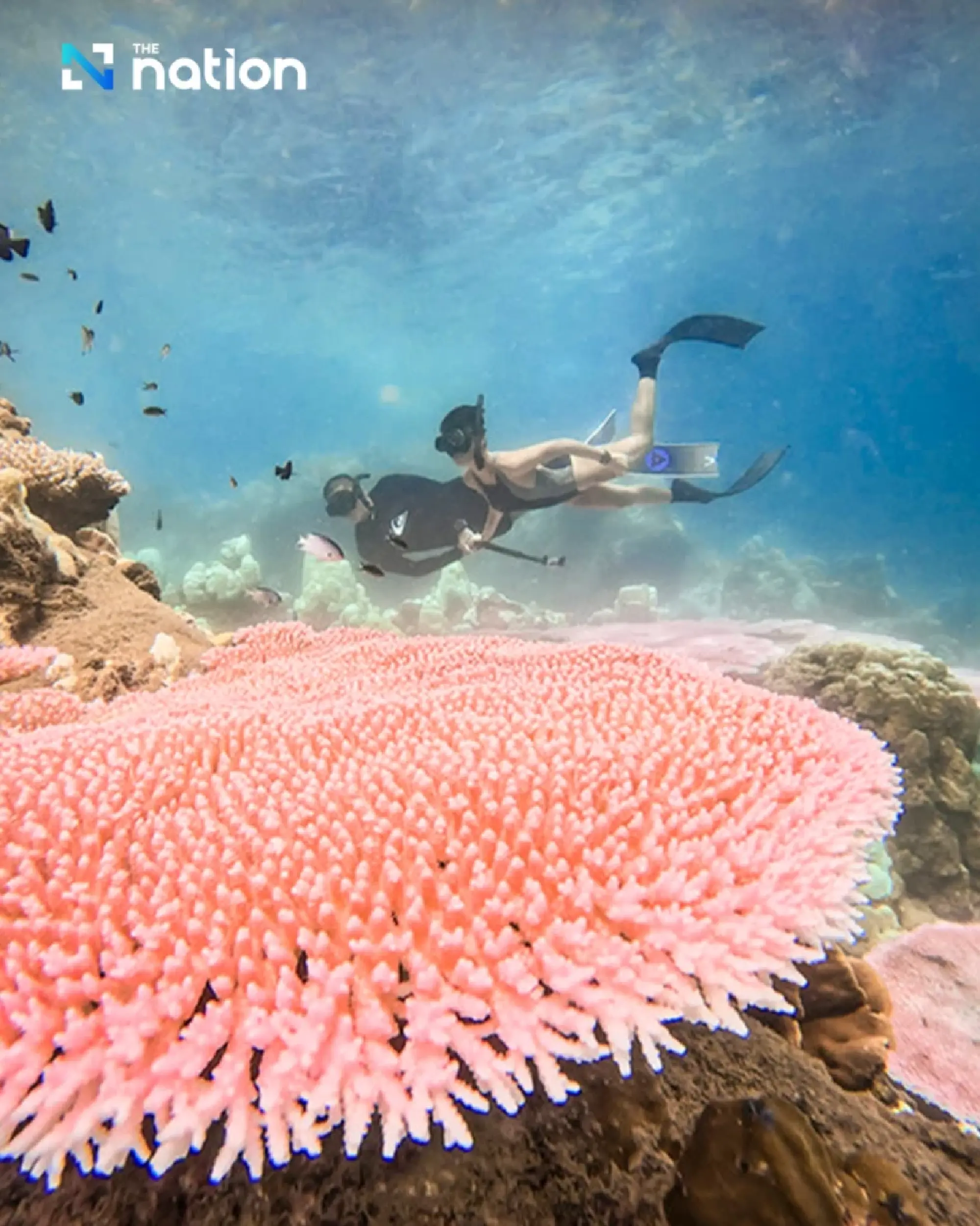 GoPro, PADI and Tourism Authority of Thailand (TAT) unite for World Ocean Day 2024