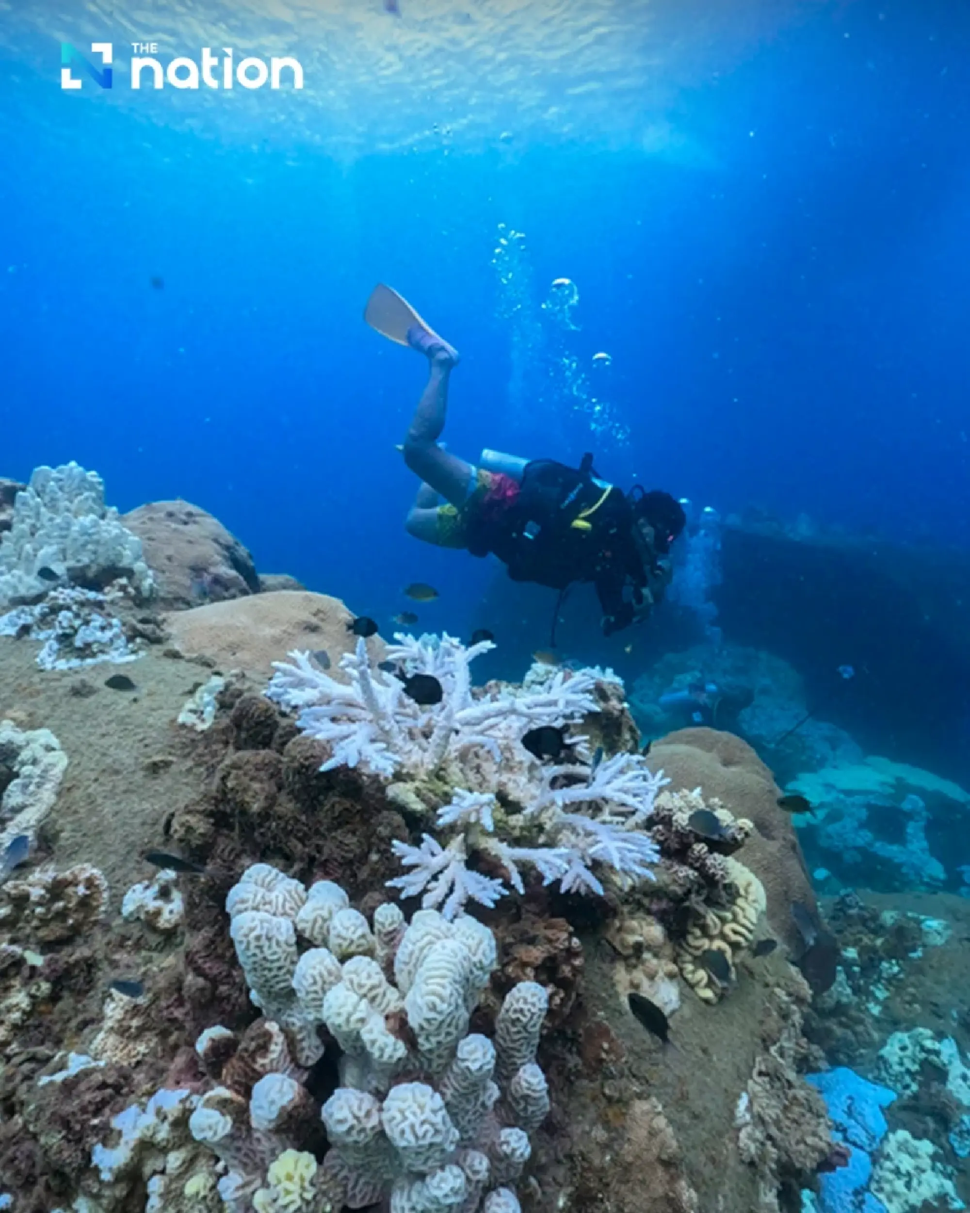 GoPro, PADI and Tourism Authority of Thailand (TAT) unite for World Ocean Day 2024