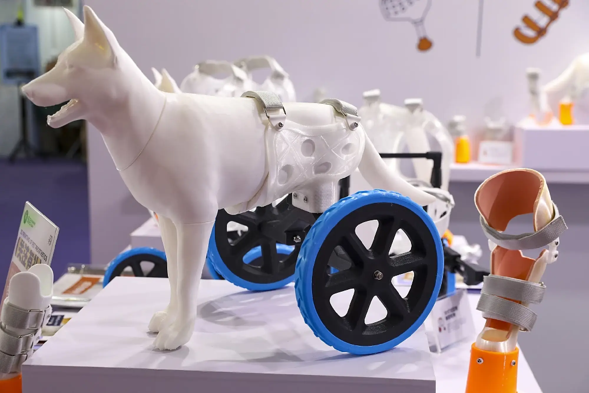 Prosthesis made for pets on display at the 26th Pet Fair Asia held in Shanghai, Aug 22, 2024. [Photo/VCG]