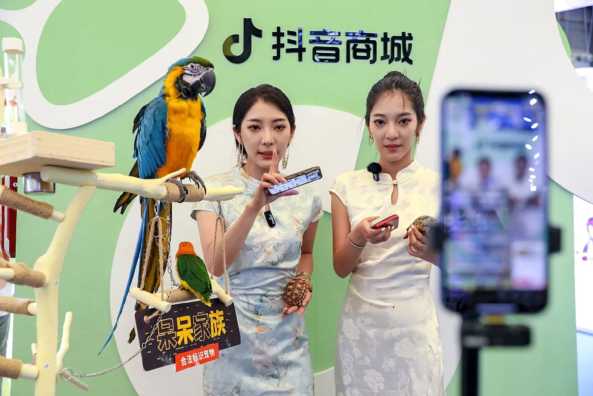 Live streamers promote pet parrots during a live show at the 26th Pet Fair Asia held in Shanghai, Aug 22, 2024. [Photo/VCG]