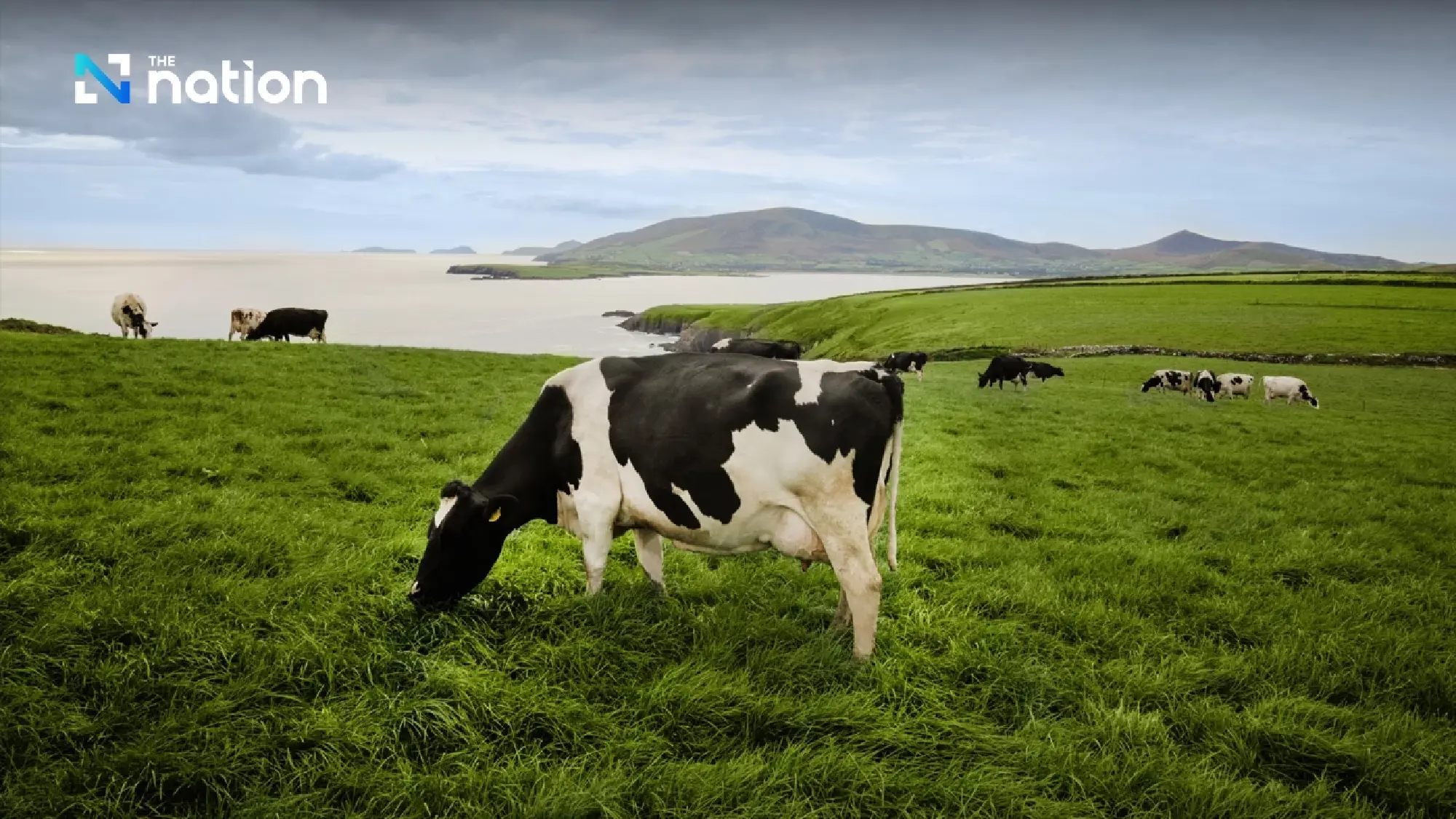 Thailand featured in Irish Food Board’s 6th Government Trade Mission to Southeast Asia