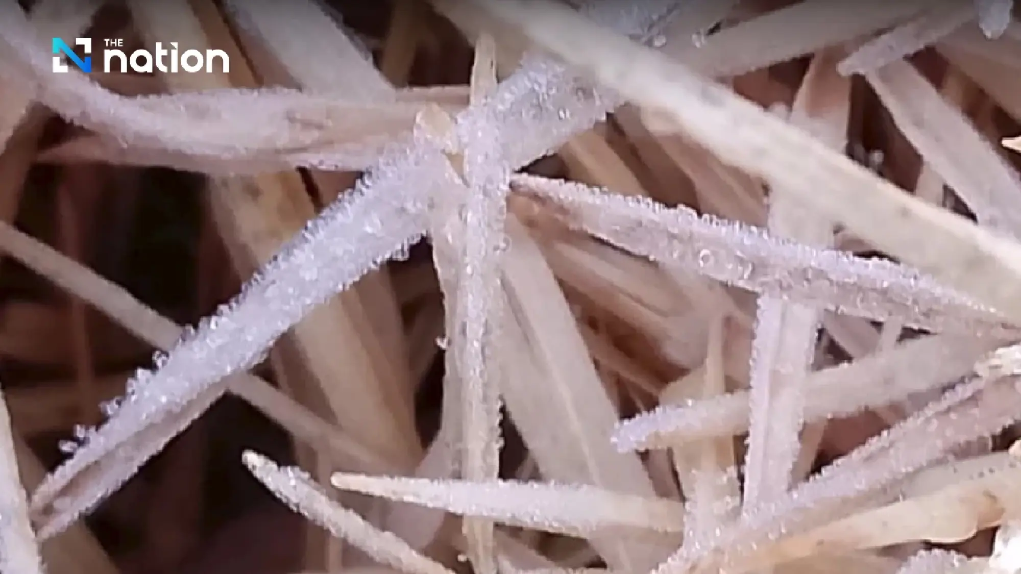 Doi Inthanon sees second hoarfrost phenomenon this year