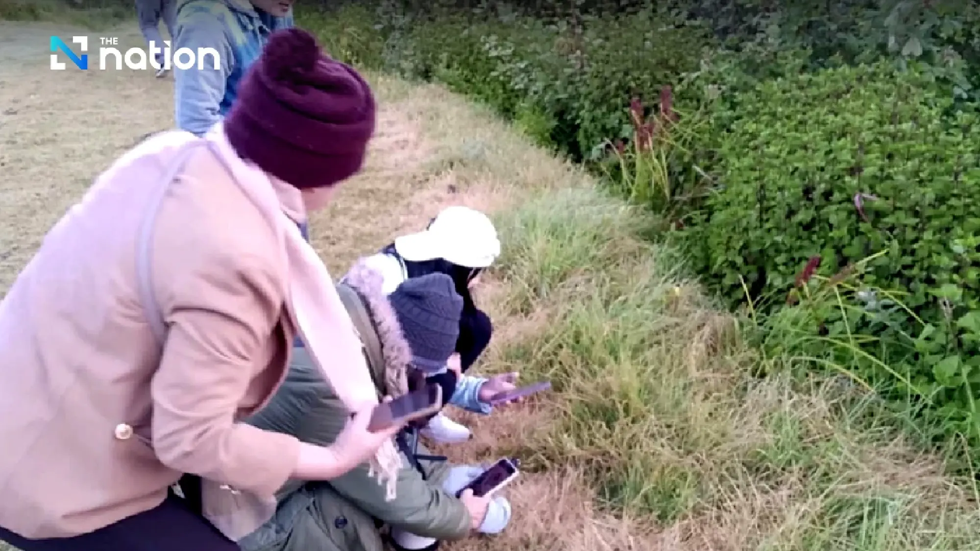 Doi Inthanon sees second hoarfrost phenomenon this year