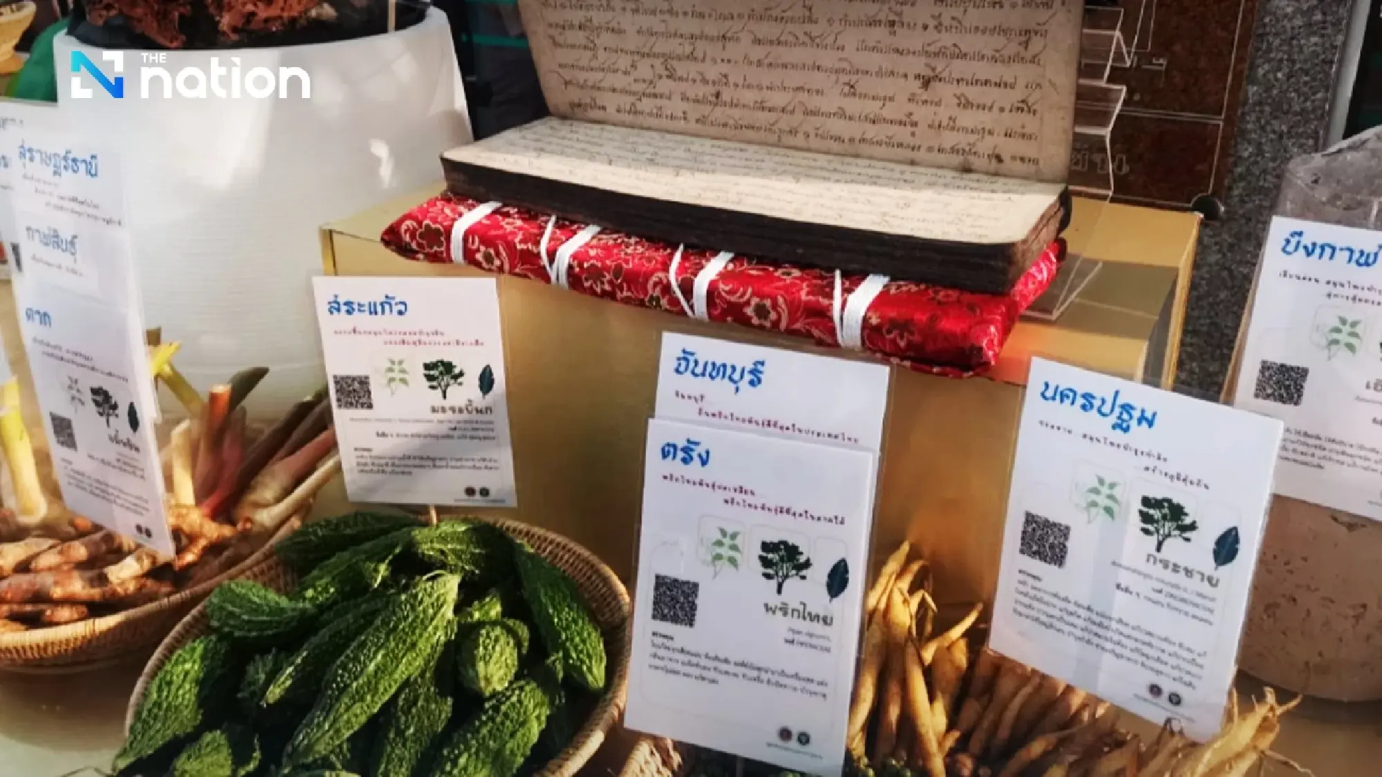 Thailand targets halal market with massage and herbal products