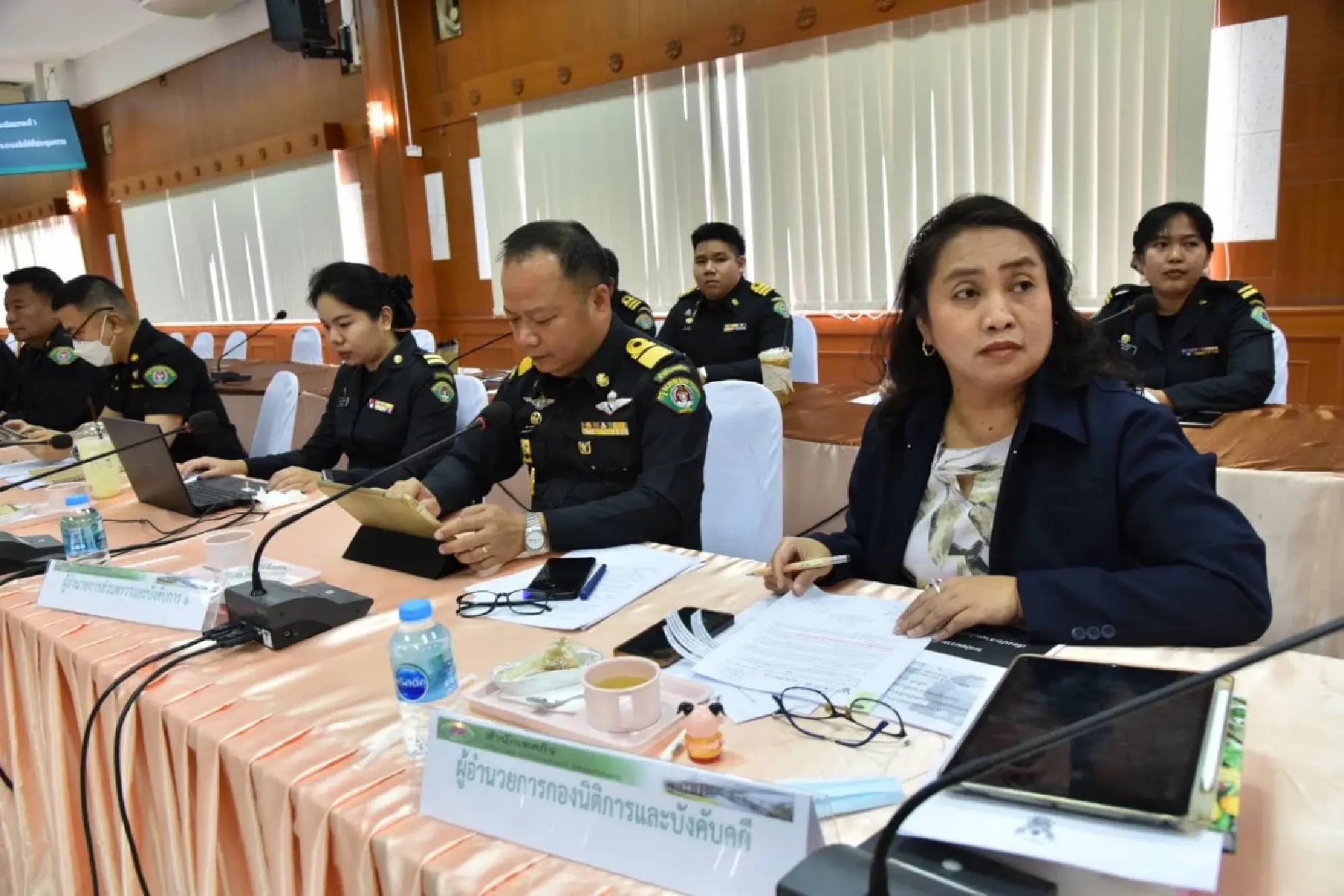 BMA discussed guidelines for identifying special areas to promote community life and tourism