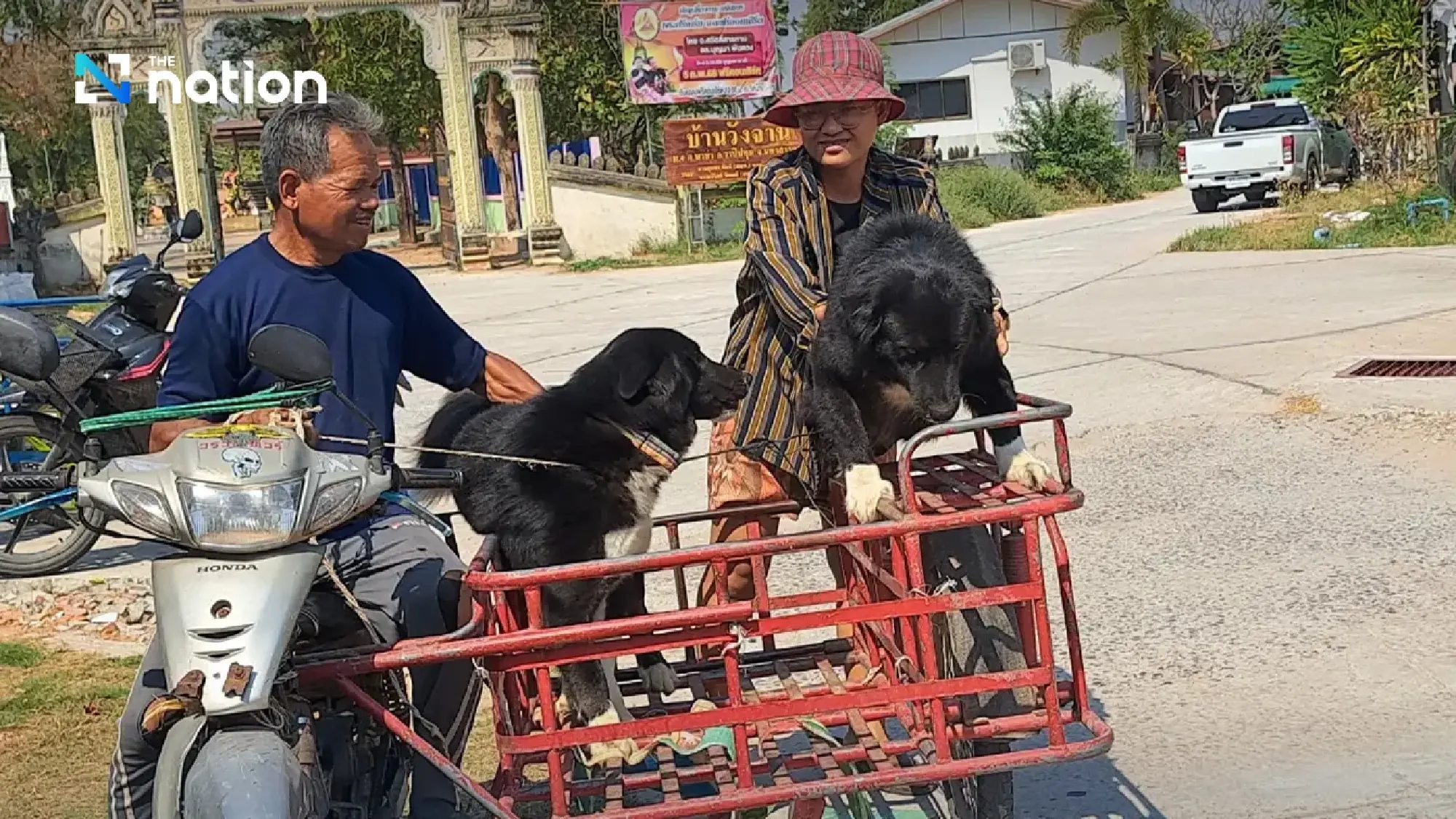 Rabies control zone declared in Maha Sarakham district