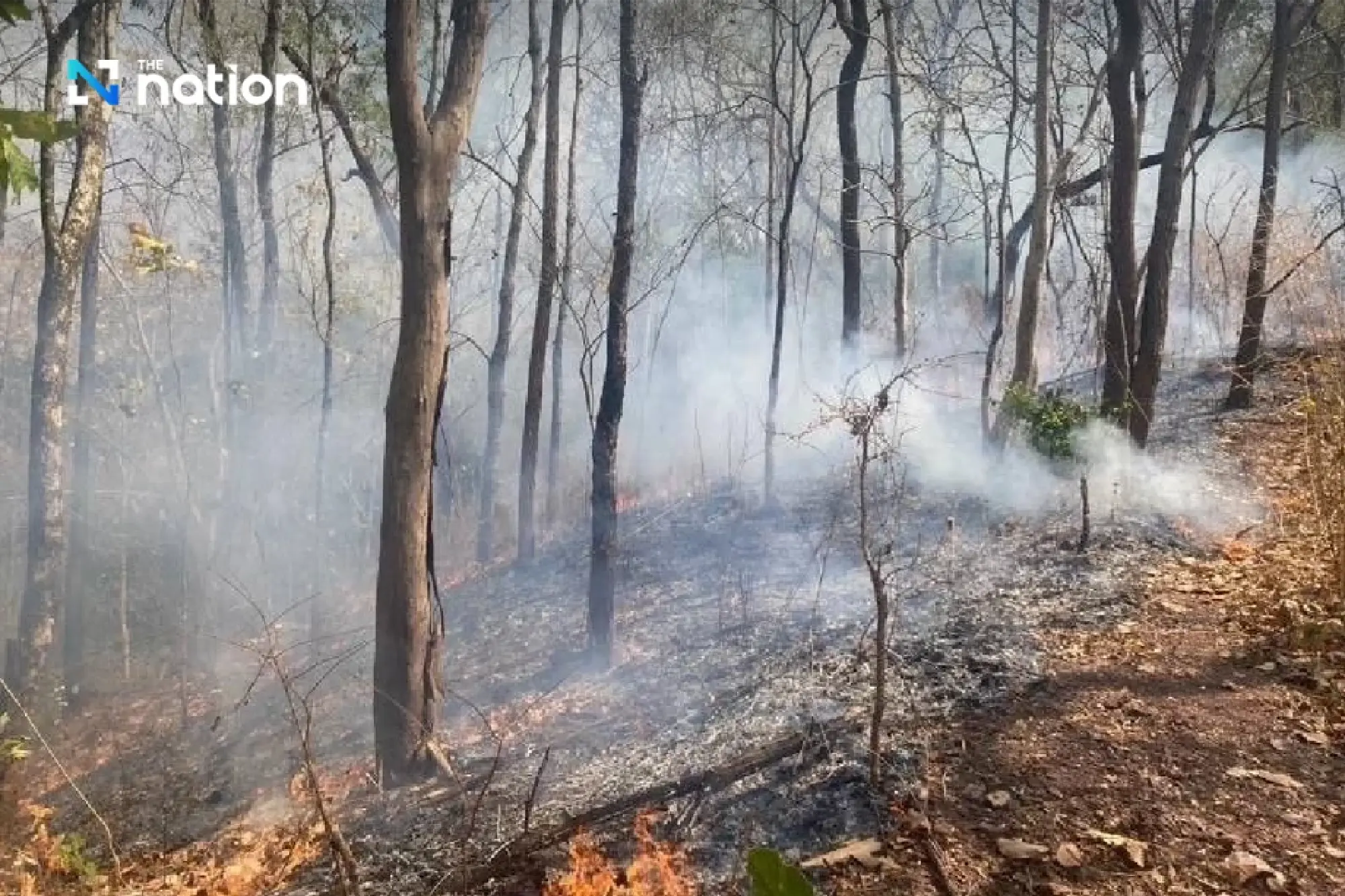 Chiang Dao Forest closure announced to prevent wildfires