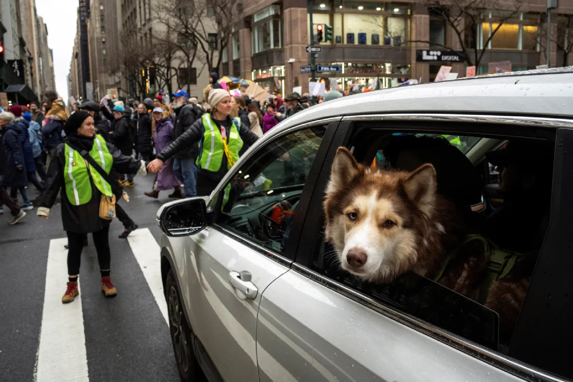 Anti-Trump protesters gather in Washington, other US cities