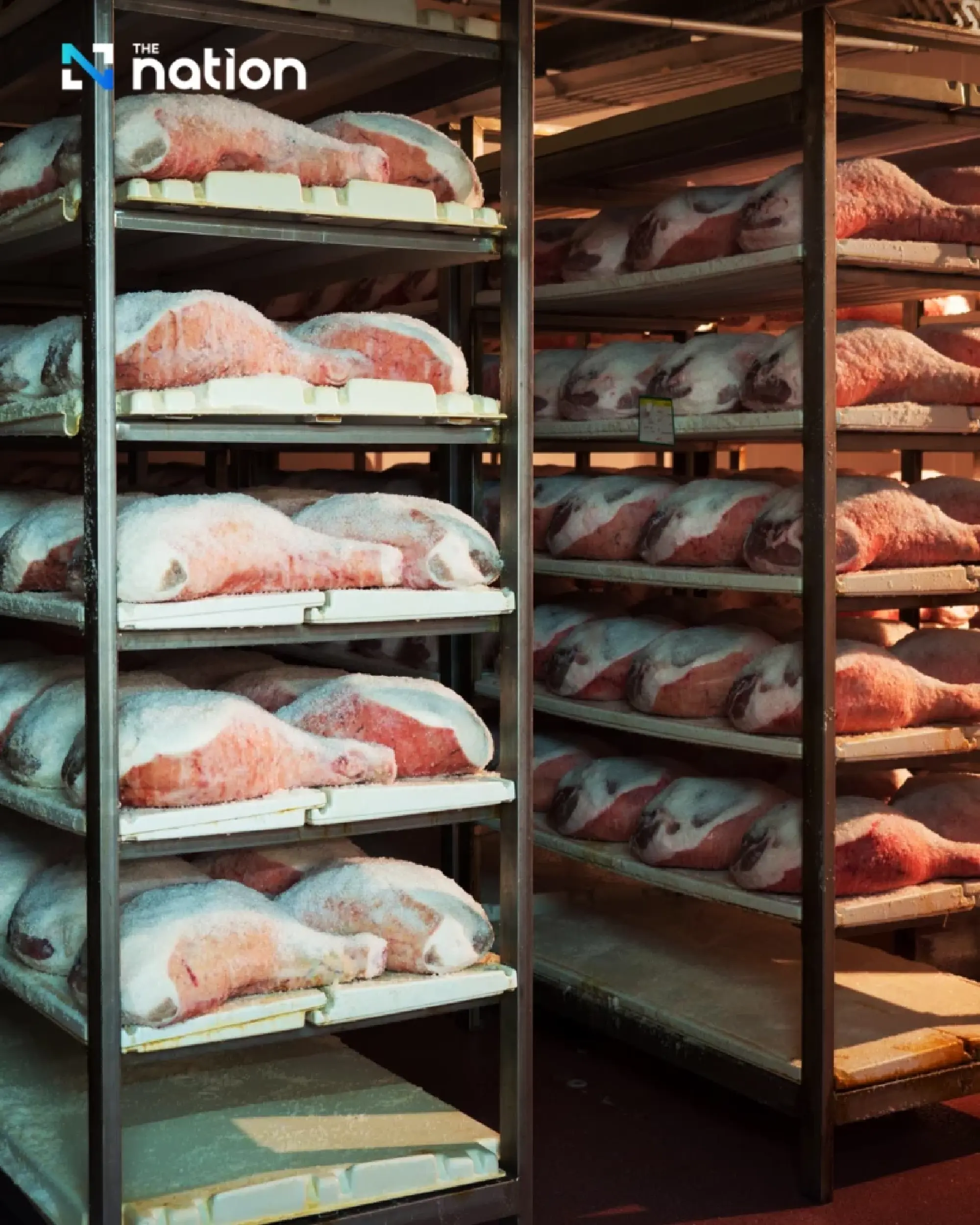 Thai Health Body Warns of US Tariff Impact on Food Safety and Laws