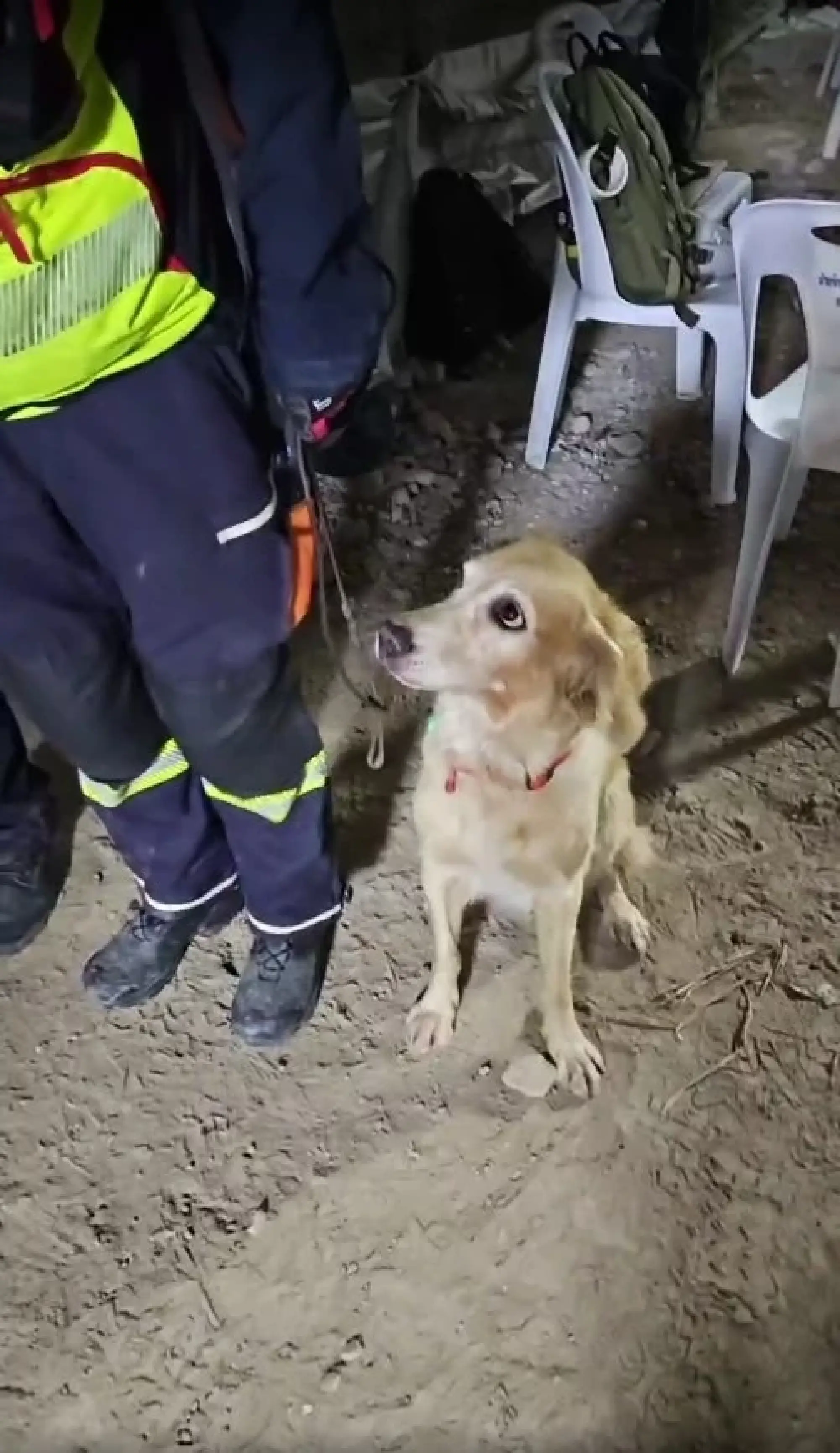 Governor Chadchart Encourages Search Team, Praises Officials and K9 Dogs for Rescue Mission