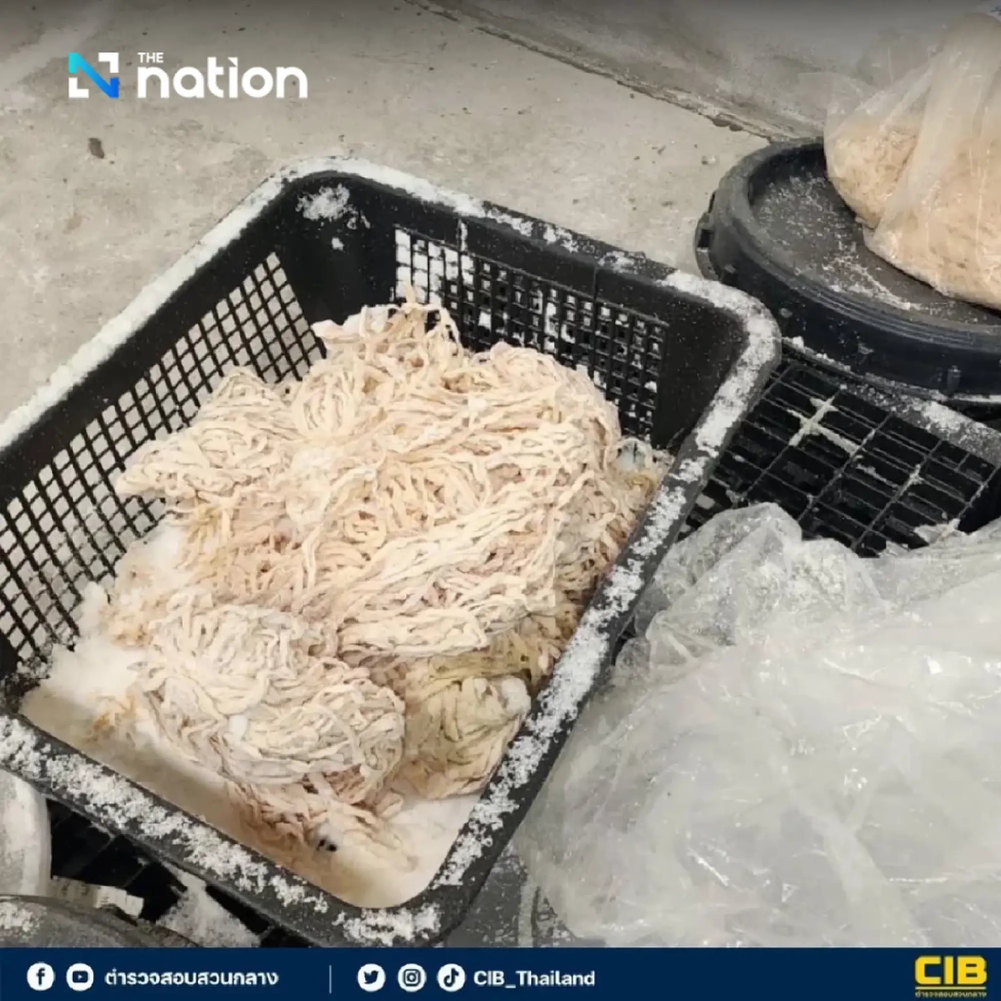 THB10 million worth of illegal pig intestines seized at warehouse in Samut Sakhon