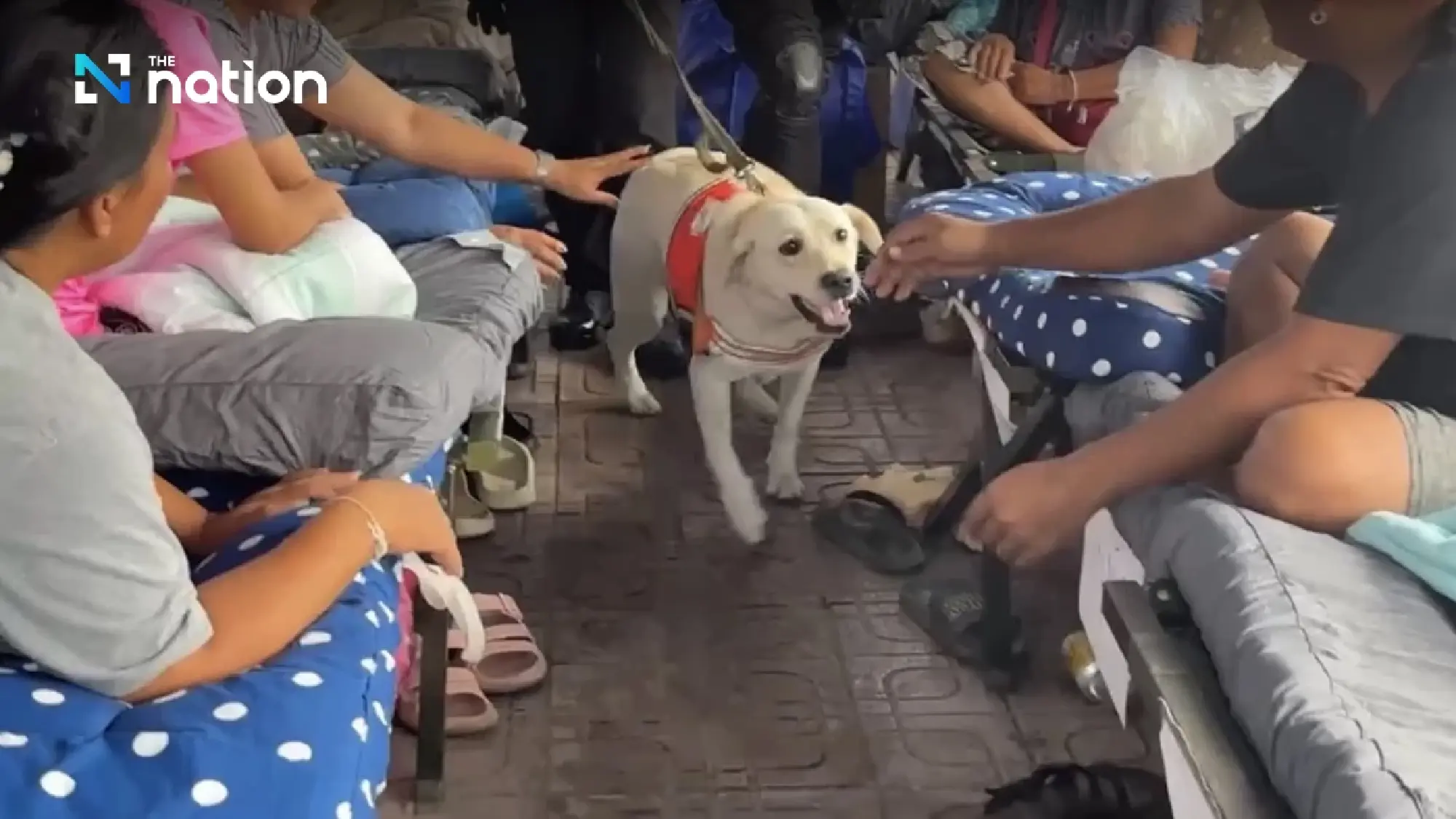 K9 team bids farewell to families of collapsed building’s victims